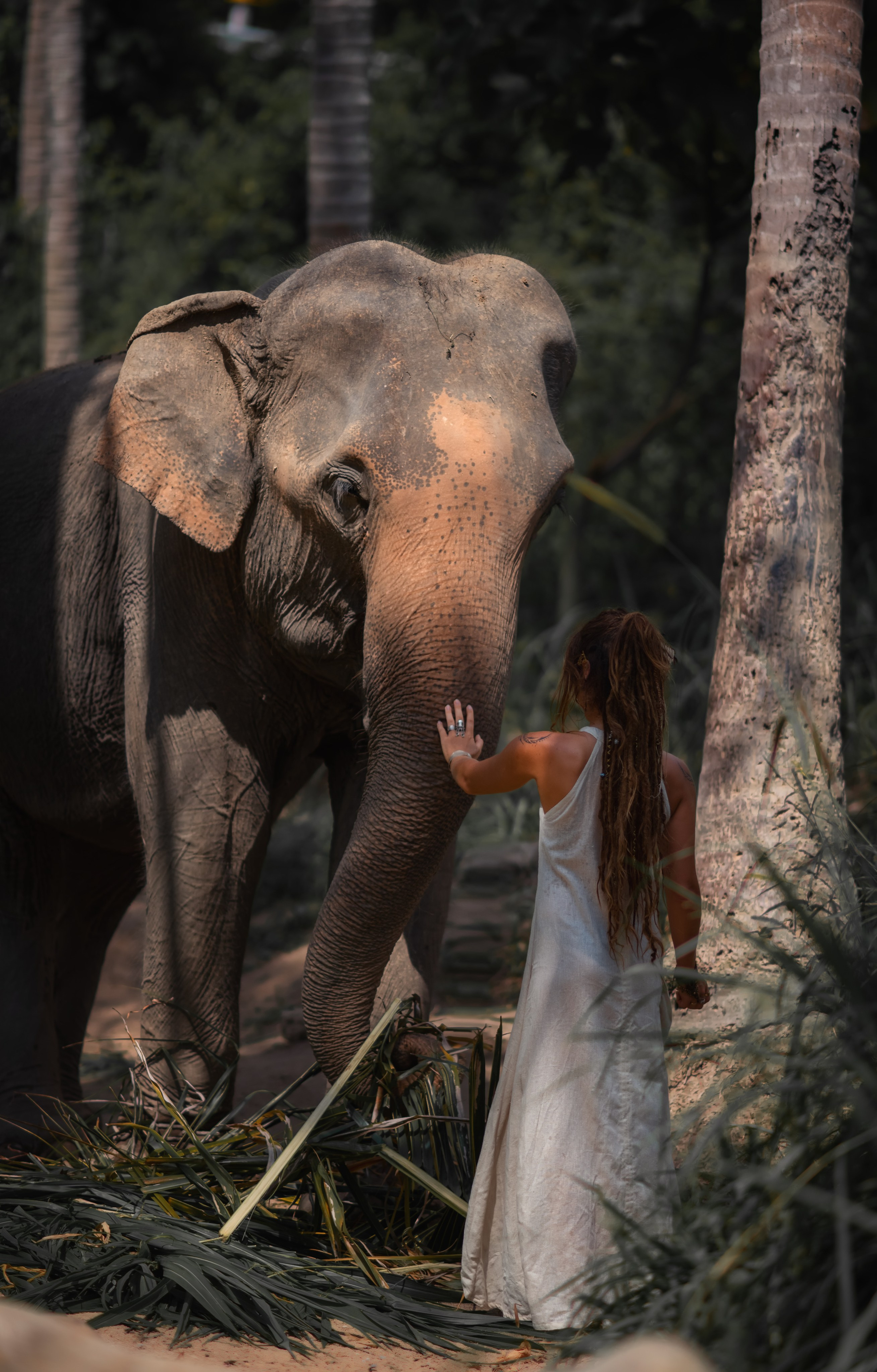 Остров Панган. Семейный, детский и женский фотограф в Ростове-на-Дону Кирилина Екатерина