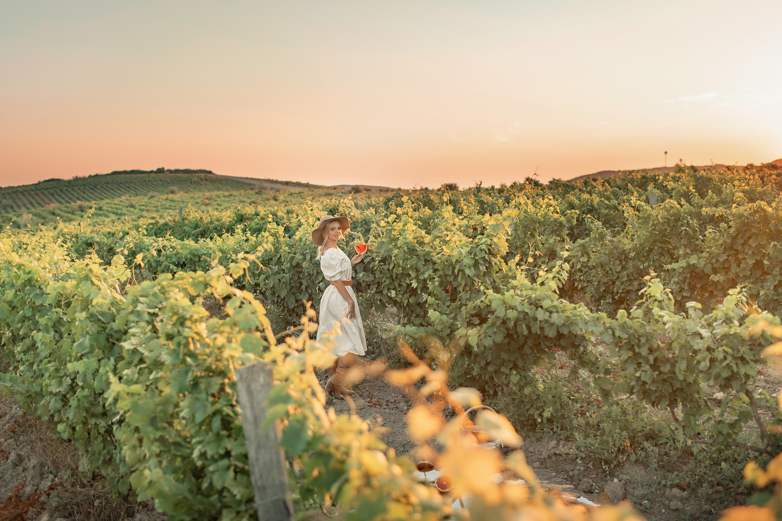 Виноградники. Художественный фотограф Анапа Александра Долбикова