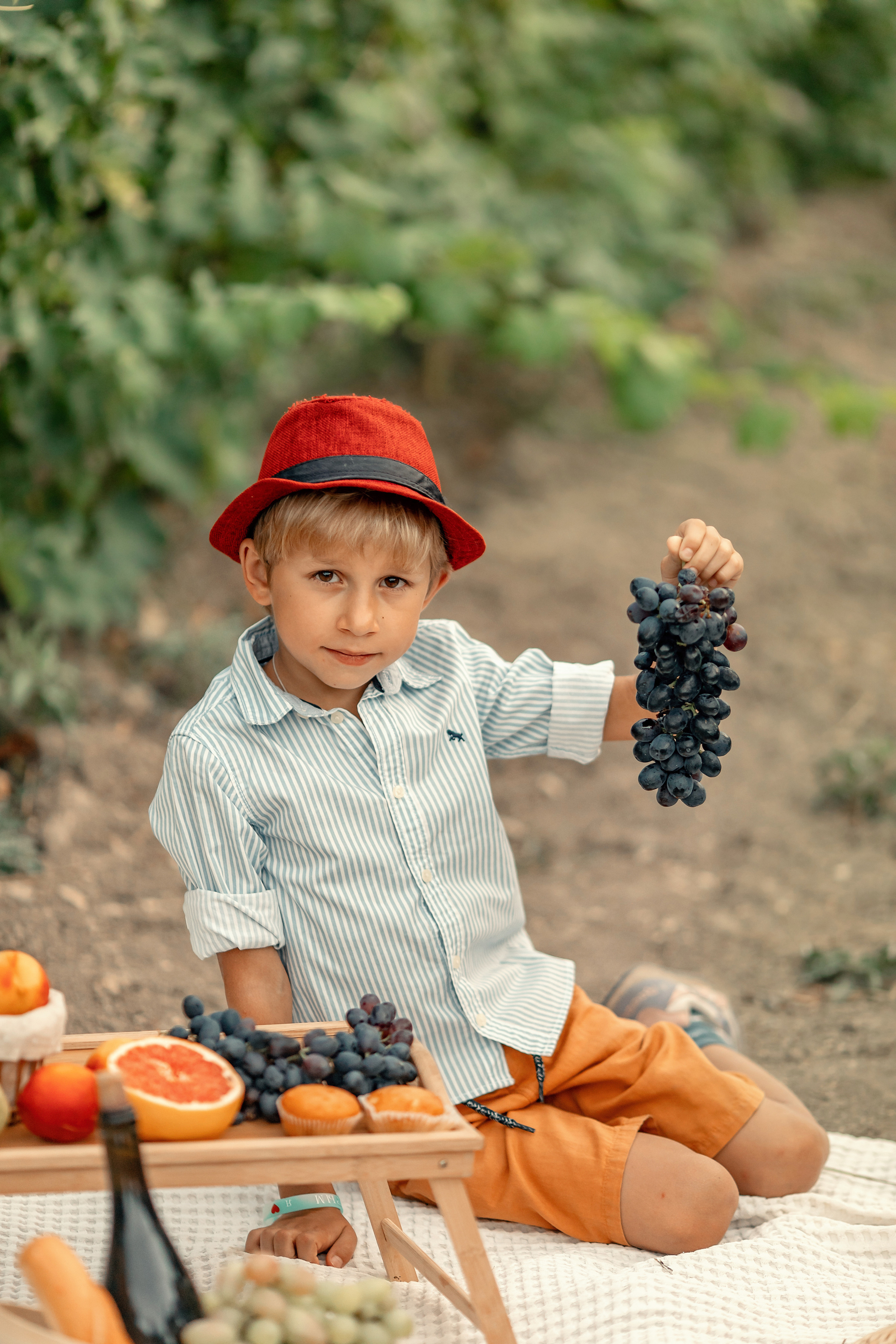 Виноградники. Художественный фотограф Анапа Александра Долбикова