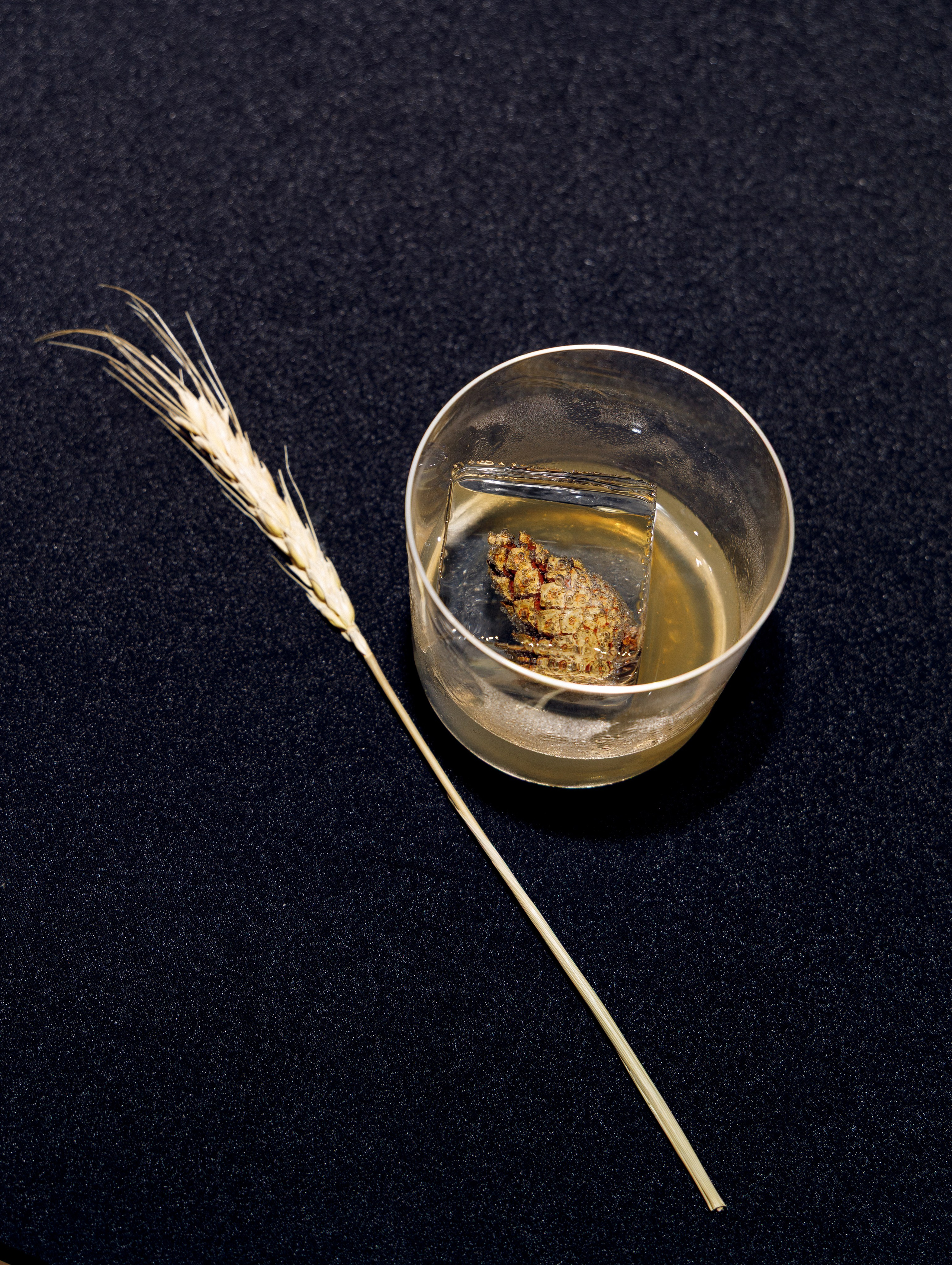 Вечеринка IVENТация