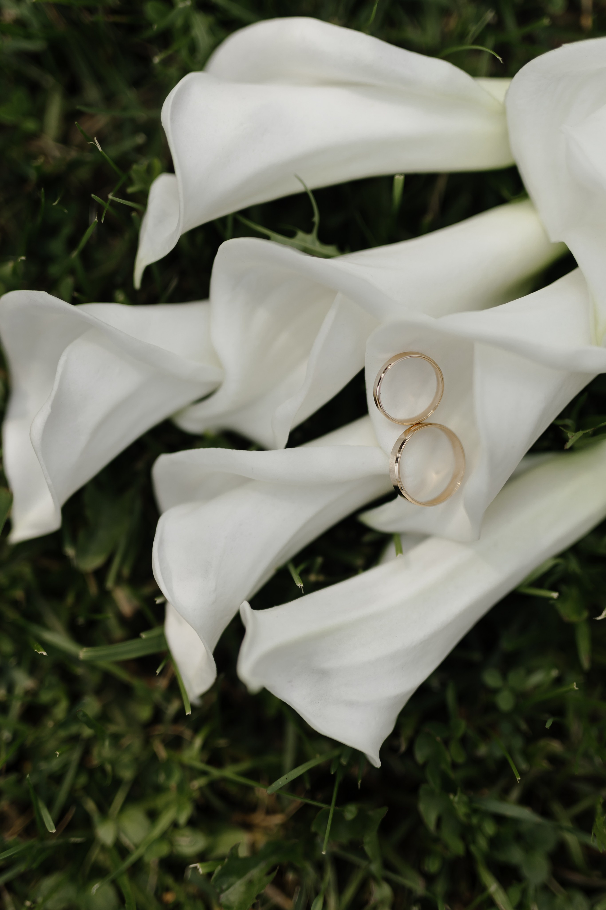 Свадьба Ильи и Натальи. Фотограф Кольчугино/Владимир/Москва Елизавета Иода