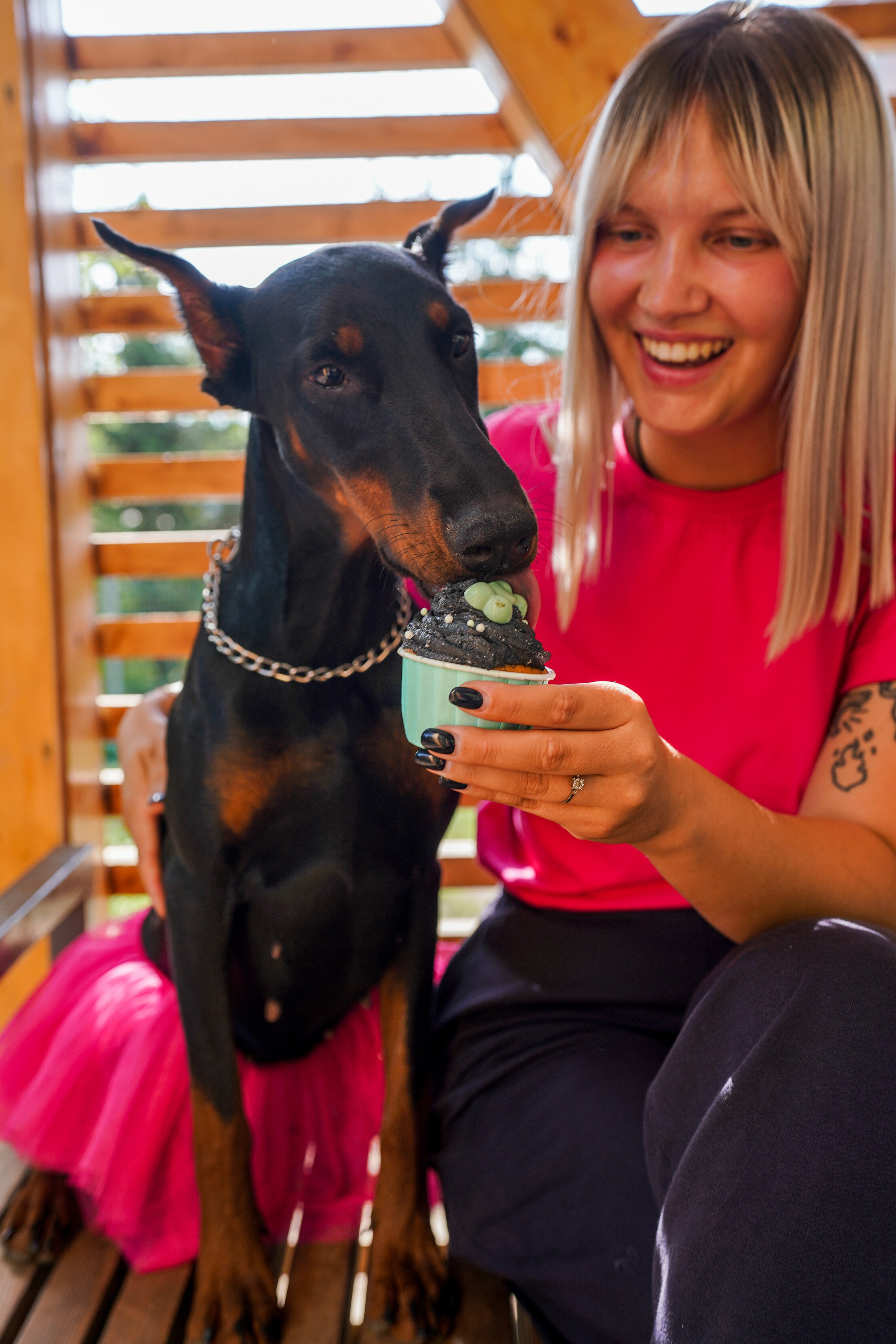 ДР собаки по имени Моррис :). Фотограф Казань