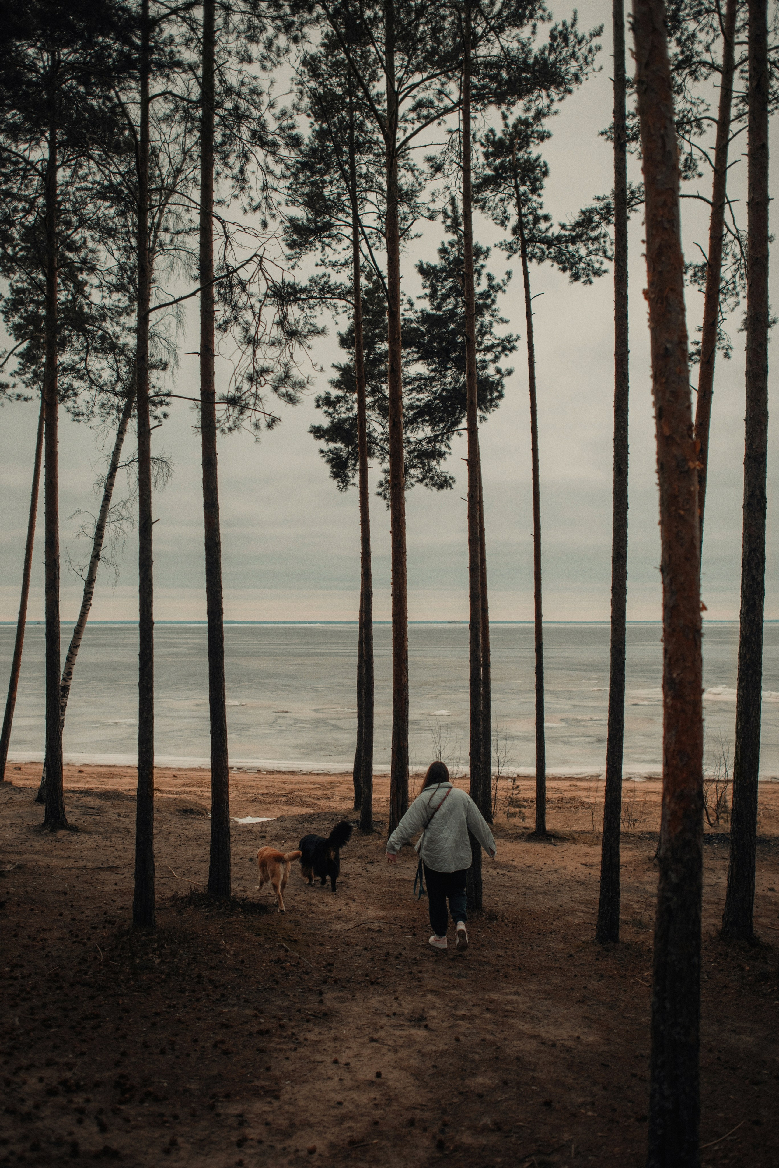 Прогулка: берн Пума, Фрэнк и Юля в Питере. Портфолио