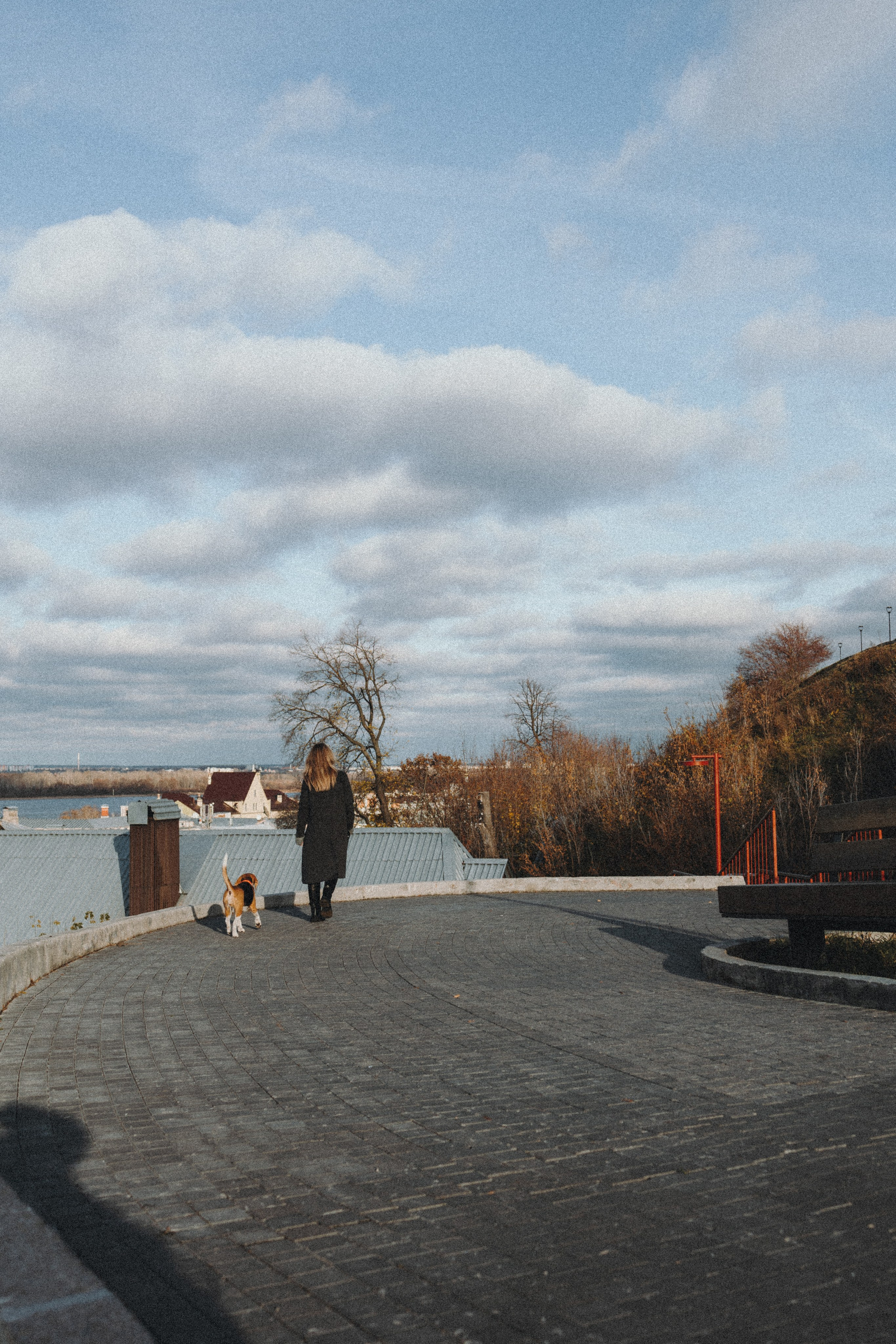 Аня и Моня. Фотограф — анималист Светлана Кысса|фотограф собак в Краснодаре и Нижнем Новгороде