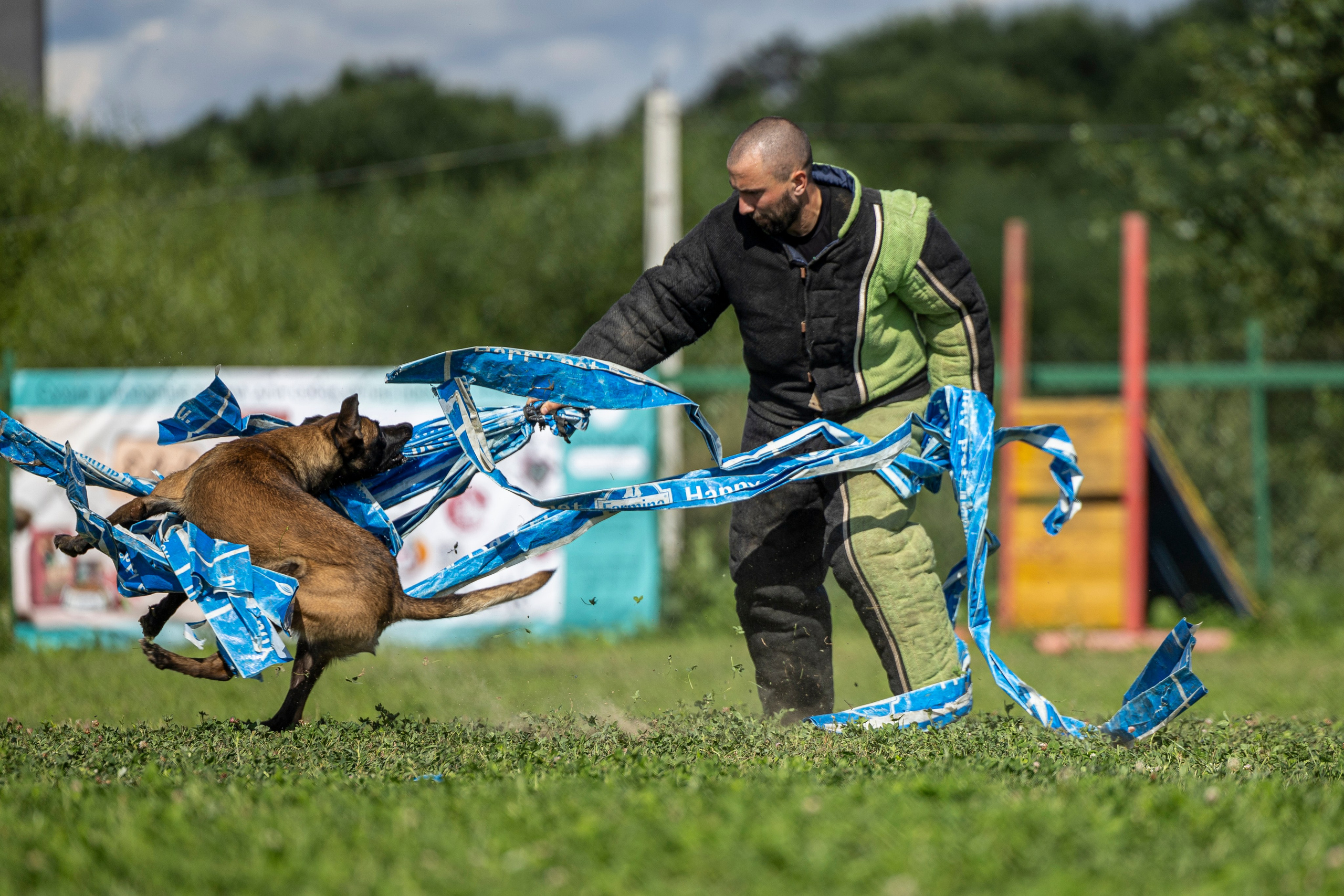 Соревнования по Мондьорингу г. Вологда 10-11.08.2024. Фотограф-анималист Анна Маринич