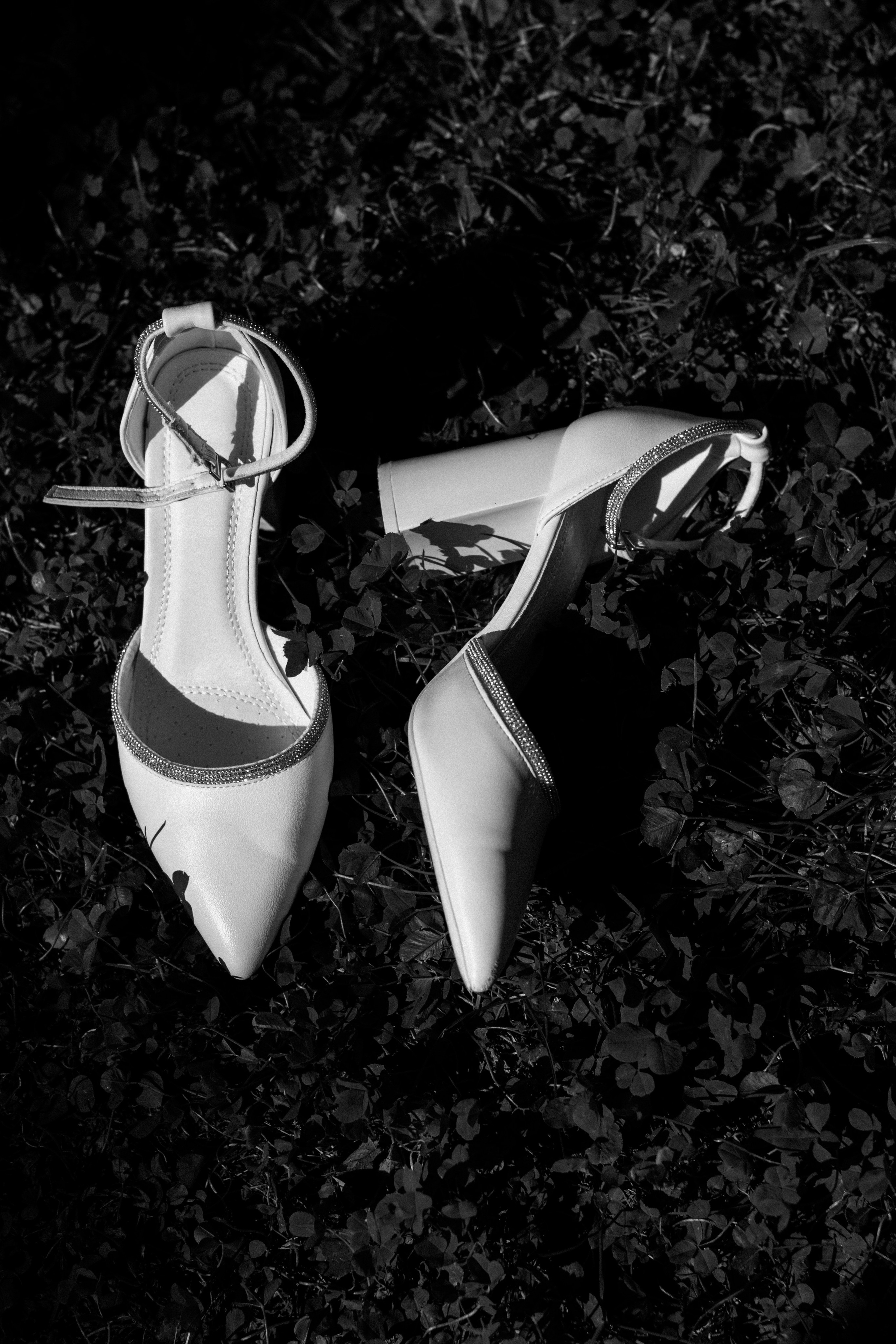 Свадебный фотограф в Волгограде и Краснодаре