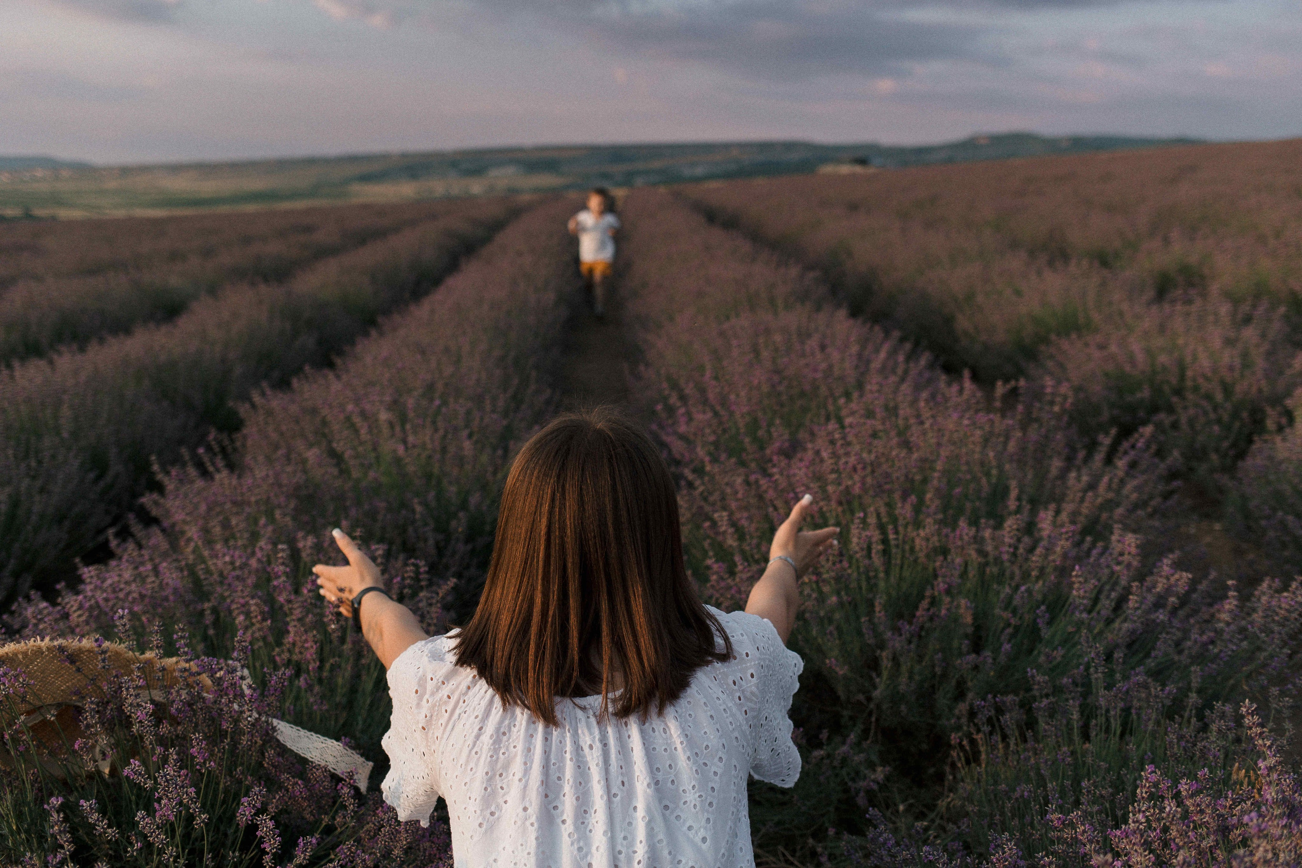Лаванда. Свадебный фотограф Мироманов Николай в Крыму