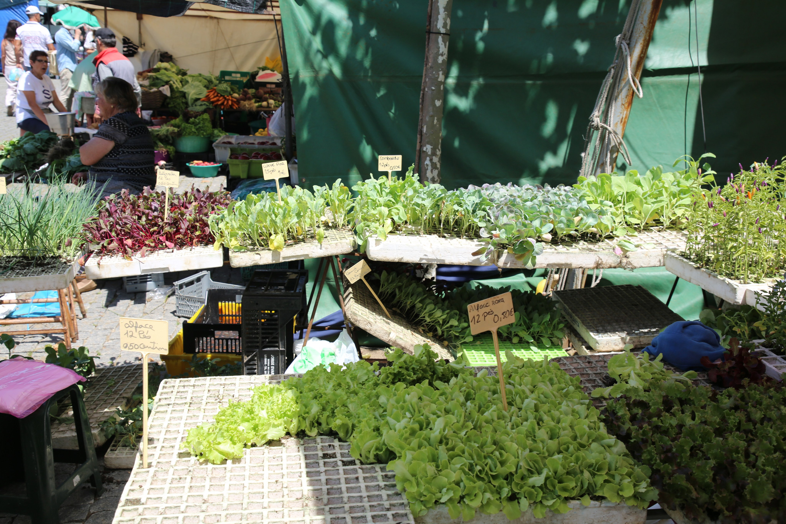 Espihnio, Portugal. Andrey Filippov Photographer