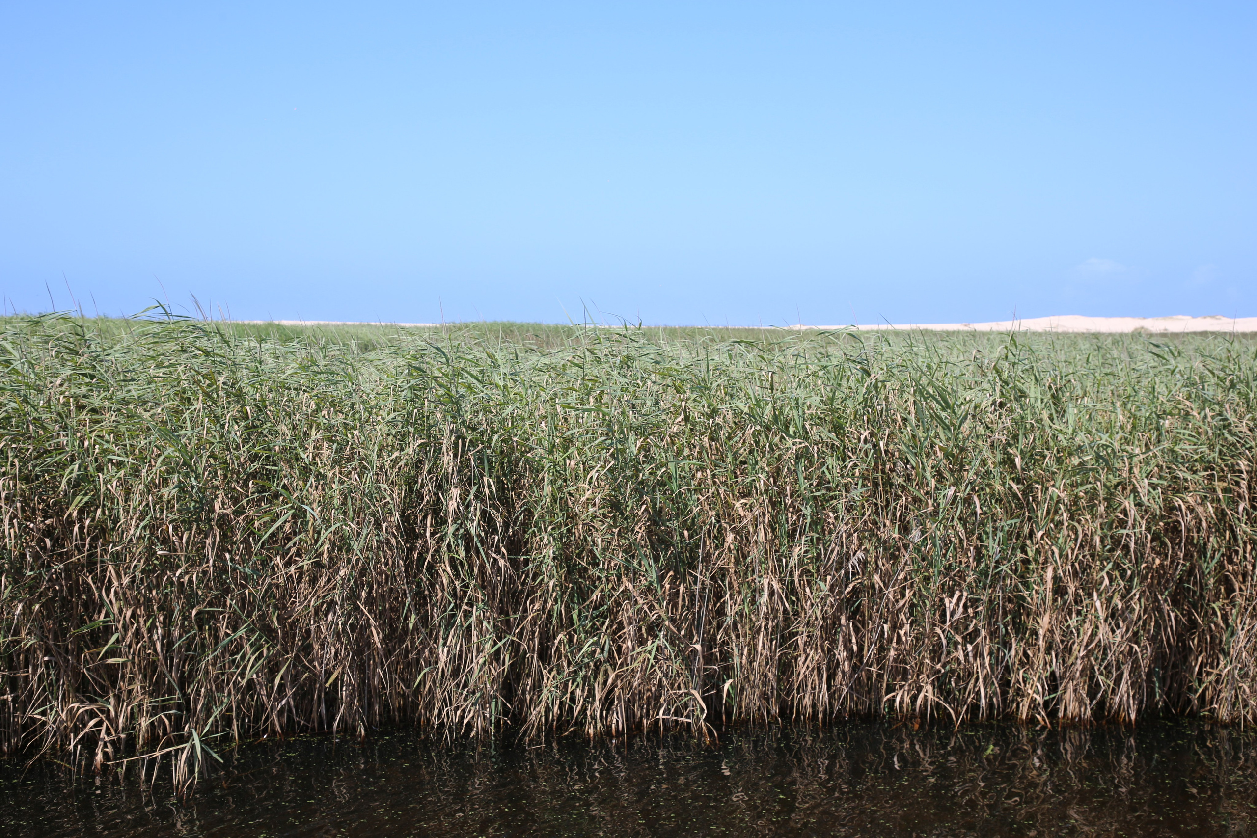 Esmoriz, Portugal. Andrey Filippov Photographer