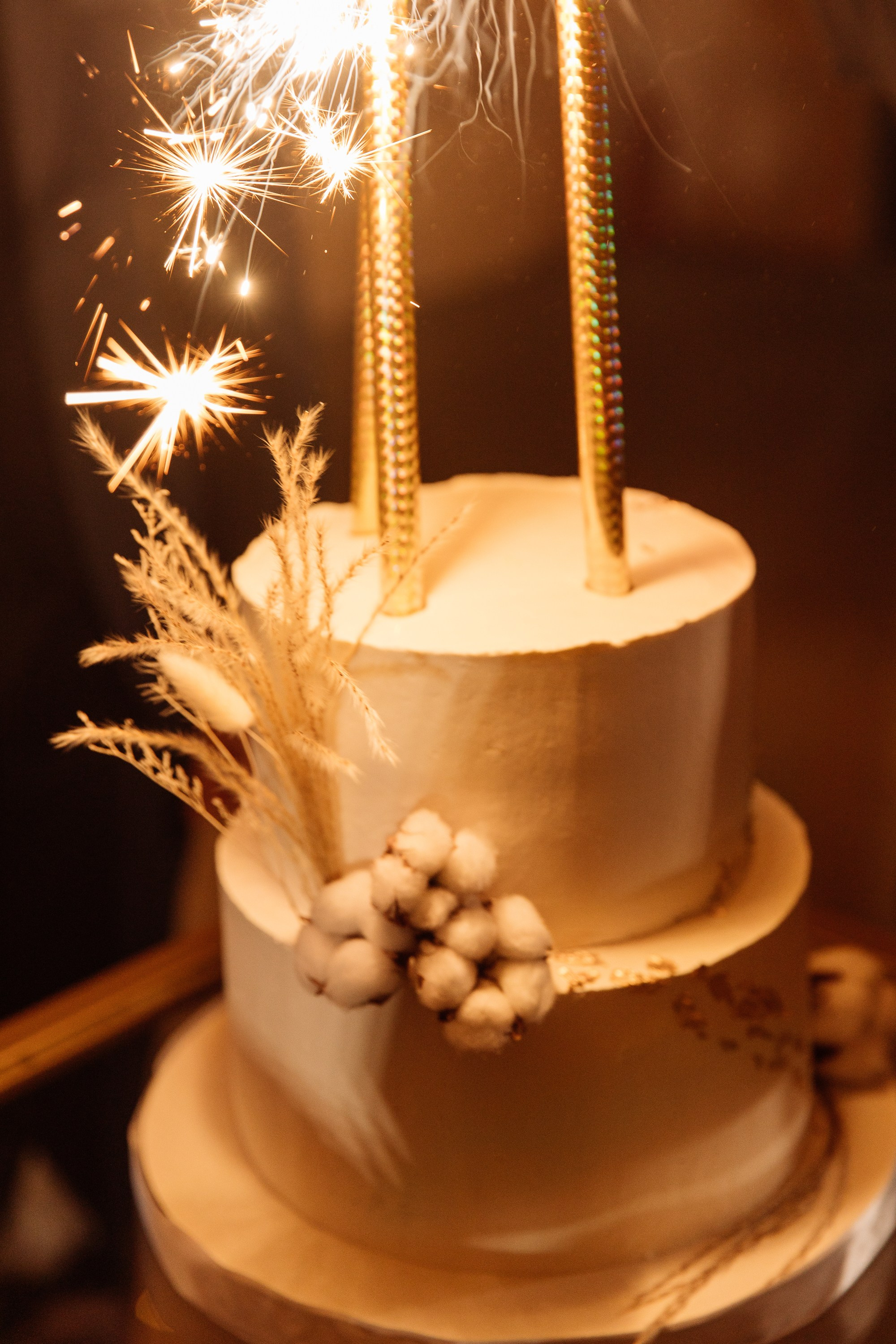 Елки-парк. Свадебный фотограф Дмитрий Воробьев Ярославль