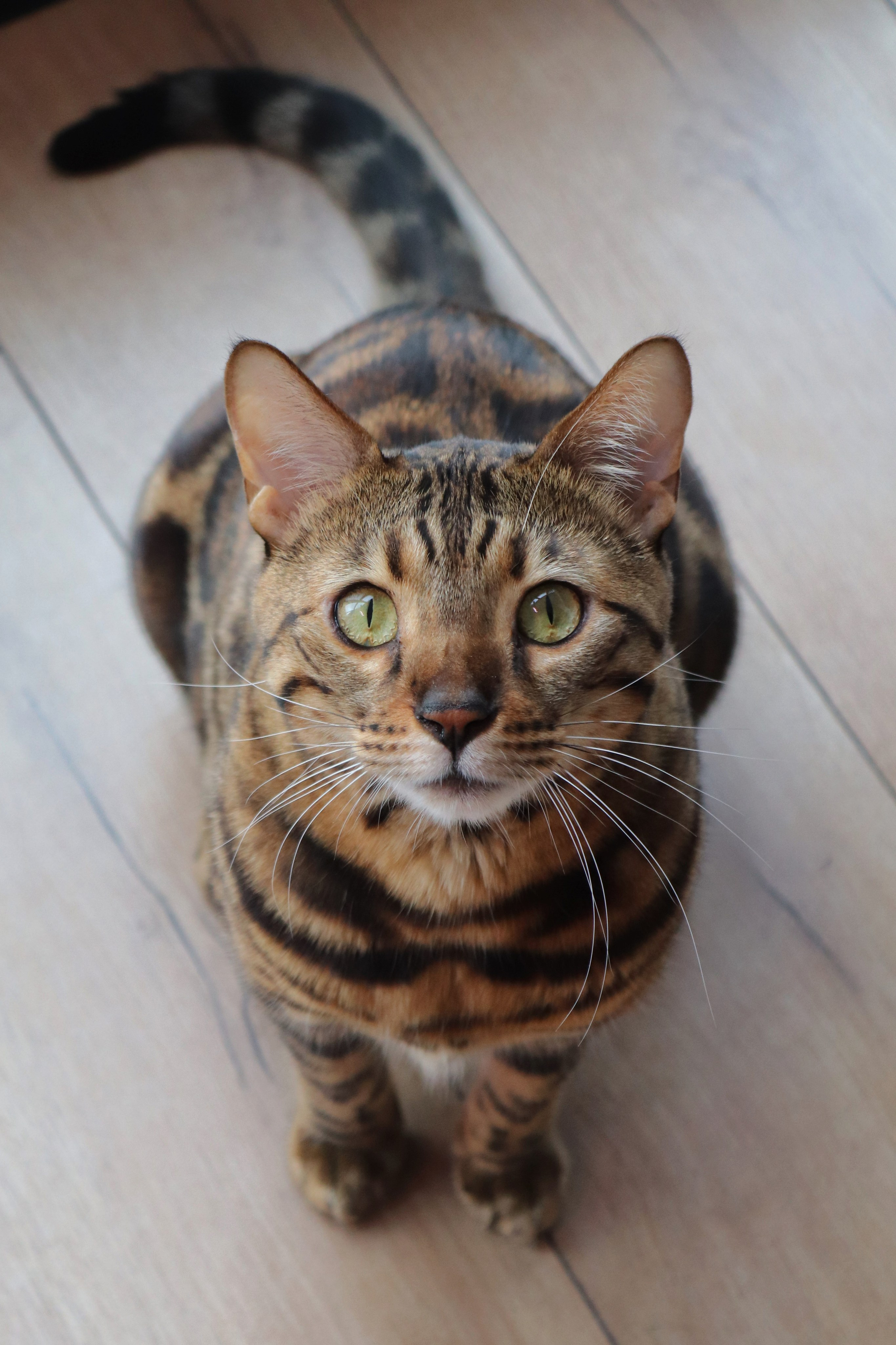 Семейная съемка. Фотограф в г. Барнаул Нина Чепрасова