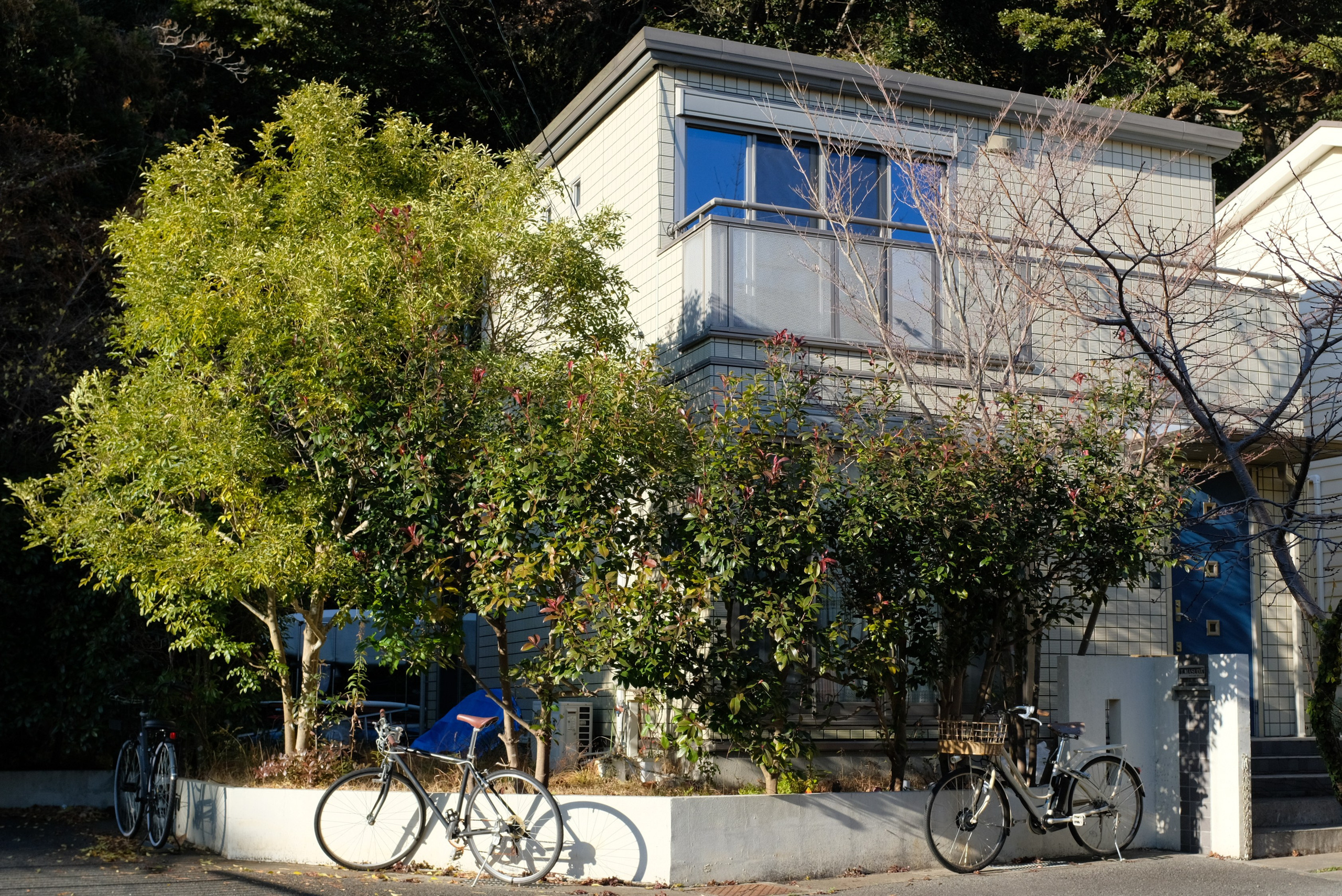 Architecture. Regina Platonova