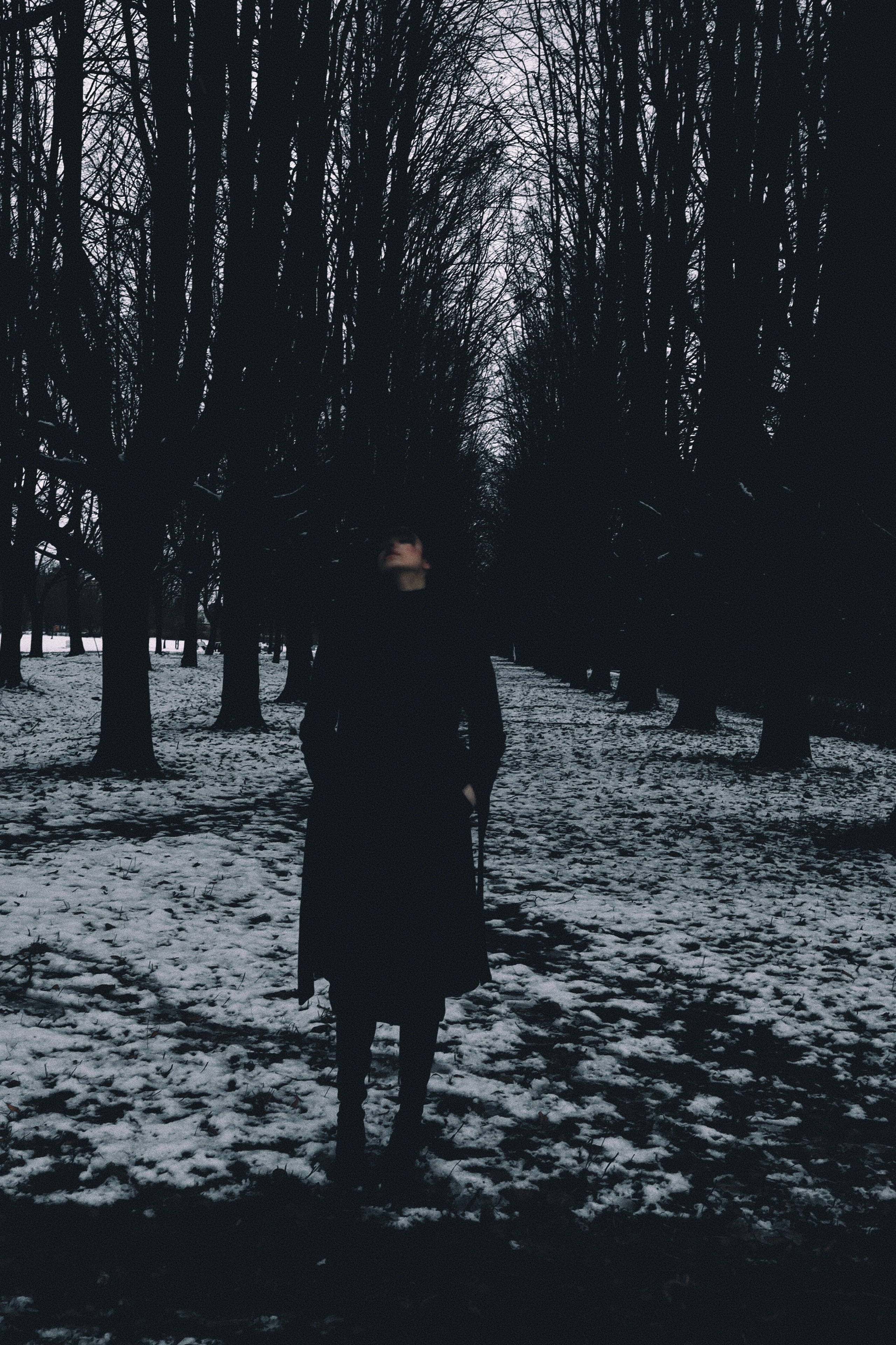 Тишина в тонах зимы. Ваагн Малхасян | Фотограф | Санкт-Петербург. Создаю атмосферные кадры