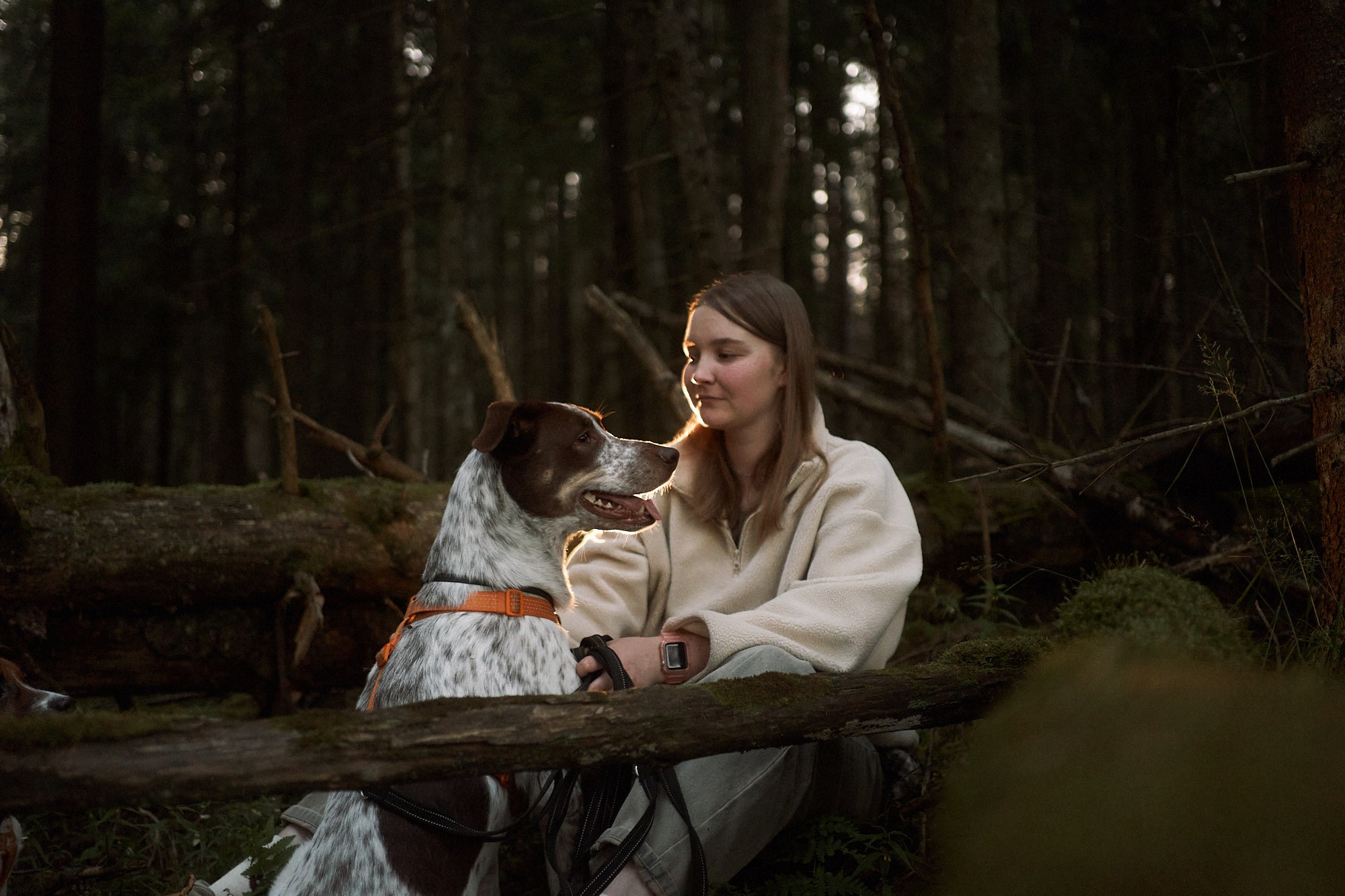 Даша, Антон, Фиби и Шейли. Фотограф анималист Москва Дарья
