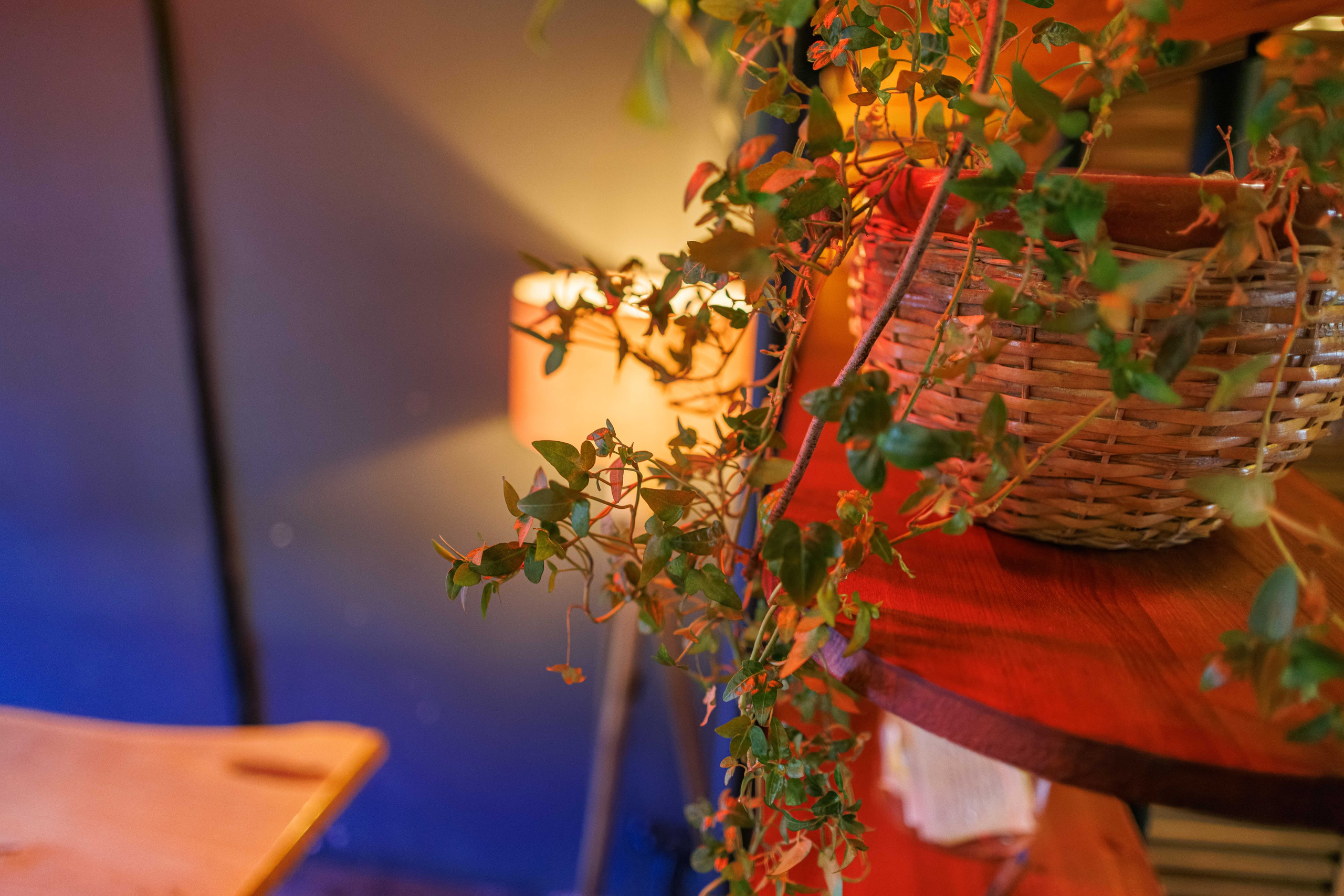 Кофейня Surf coffee на Невском. Фотограф Балаев Михаил