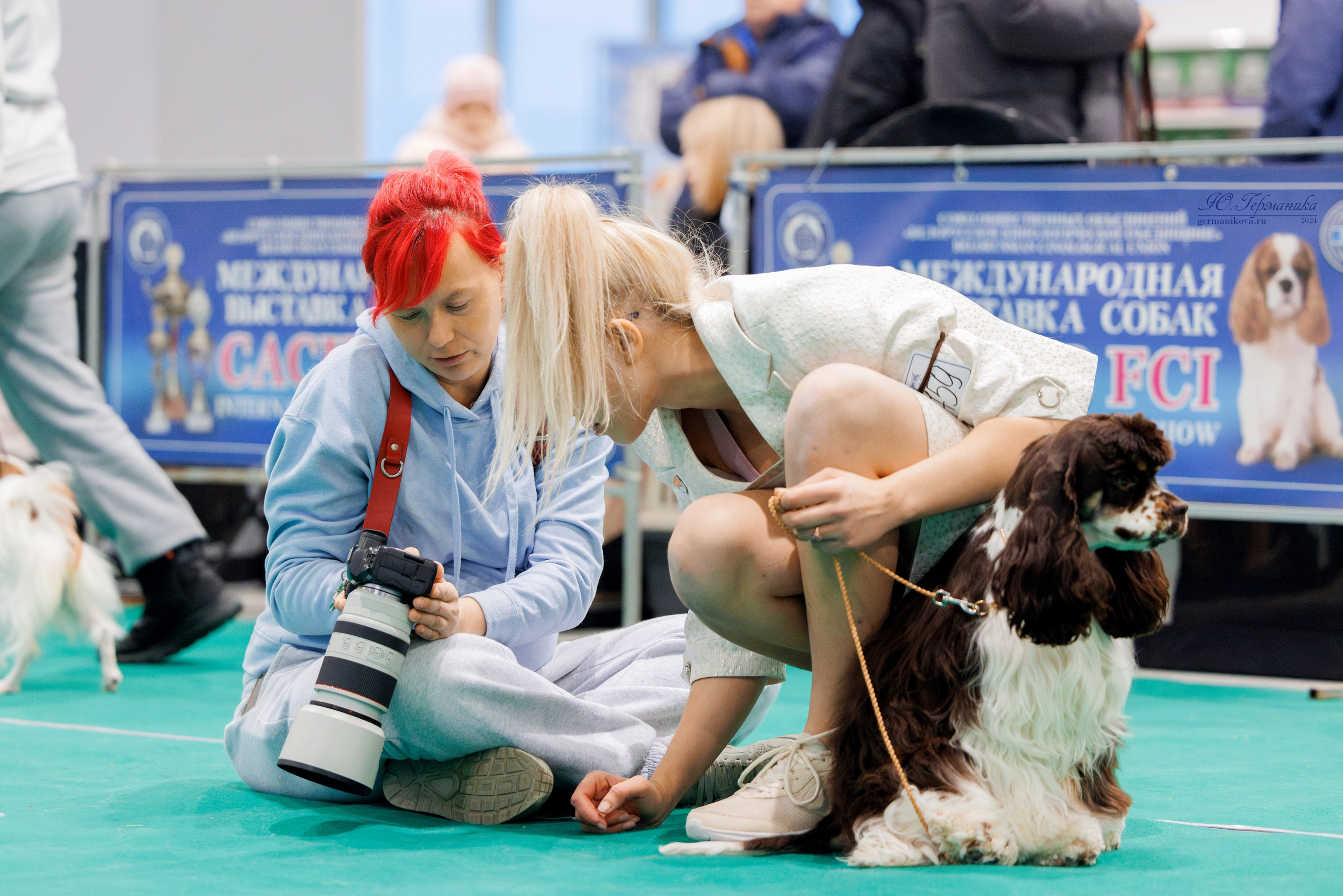 Минск 23.11.2024. Фотограф-анималист Юлия Германика