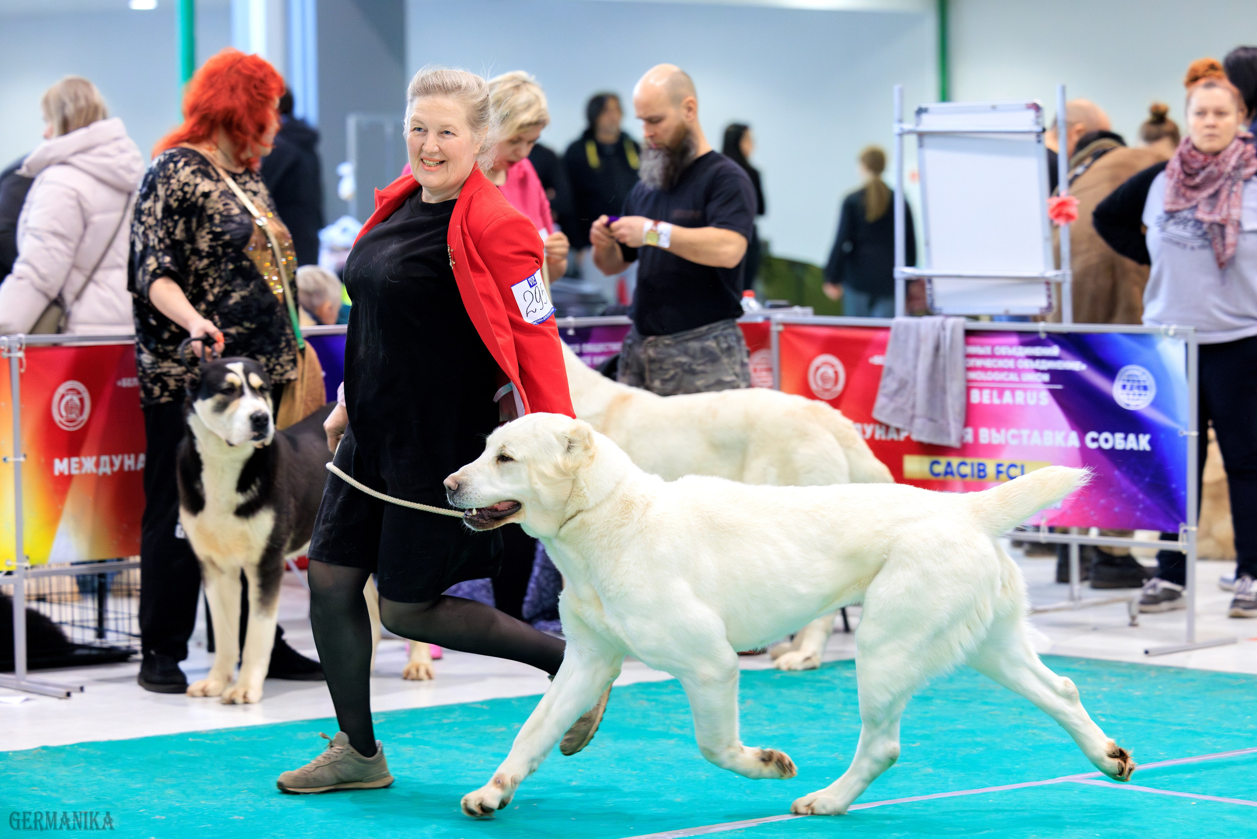Минск 24-25.02.2024. Фотограф-анималист Юлия Германика