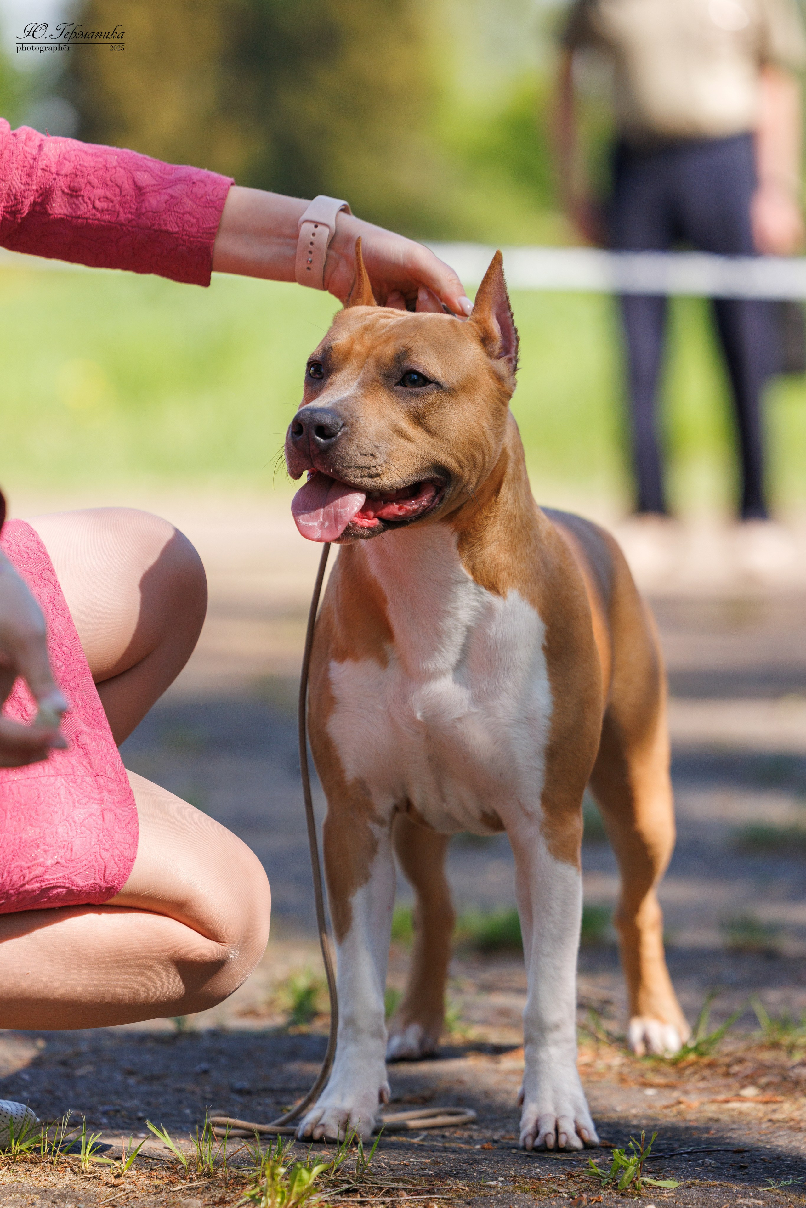 Тверь 24.05.2025. Фотограф-анималист Юлия Германика