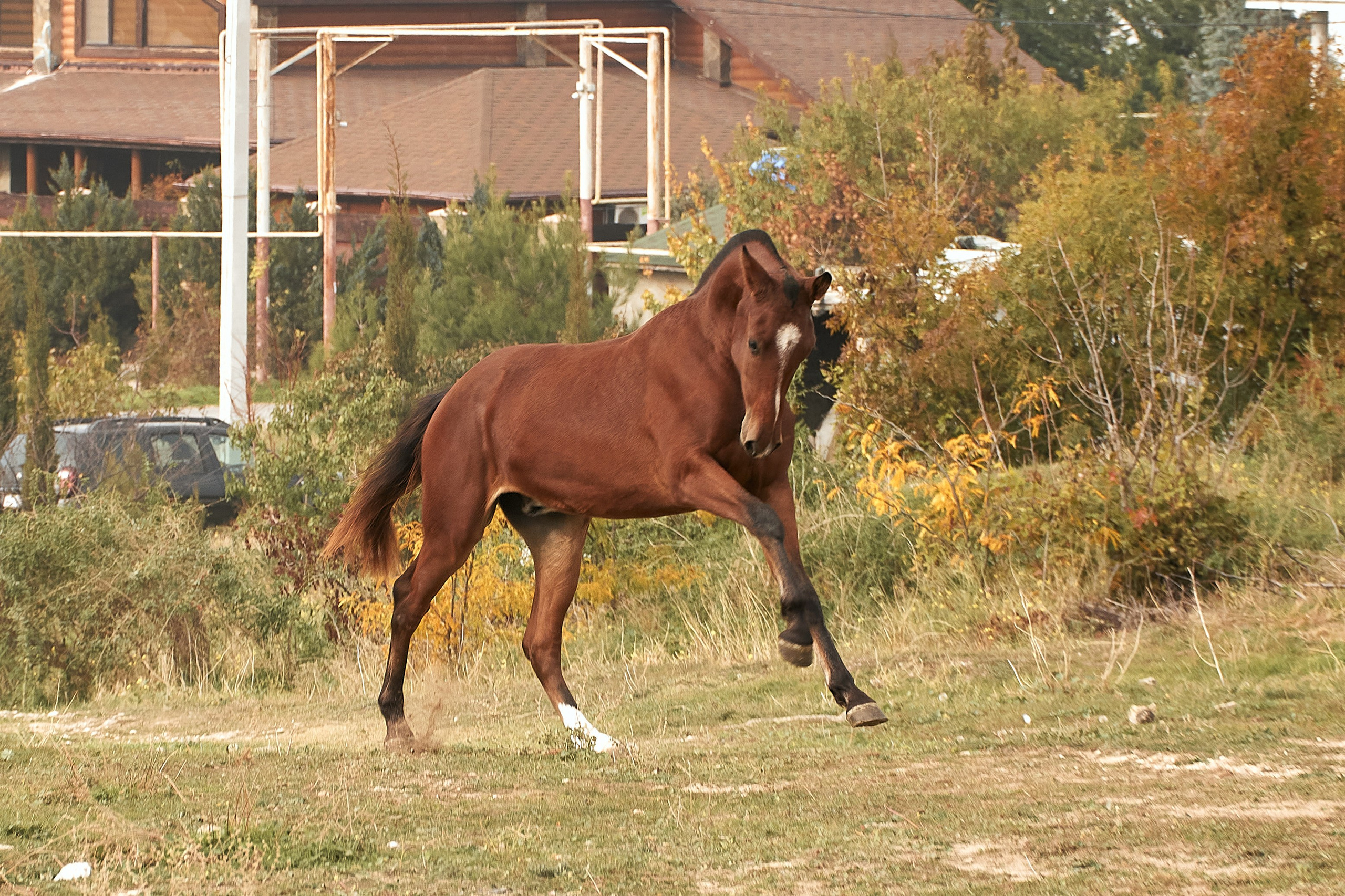 Роня. Фотограф в Севастополе