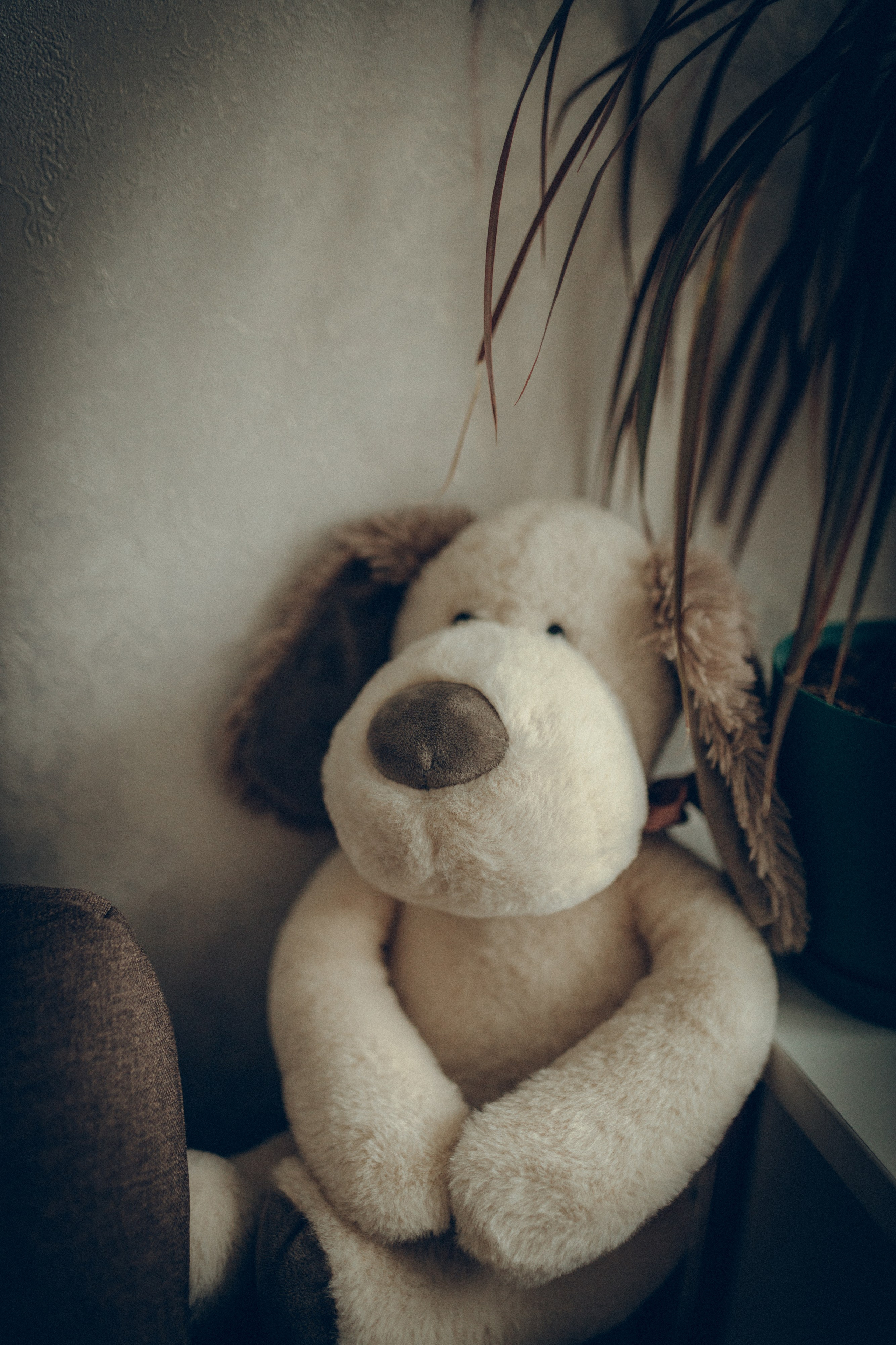 Family moments. Семейный фотограф и фотограф на роды в Ростове-на-Дону Мухина Виктория