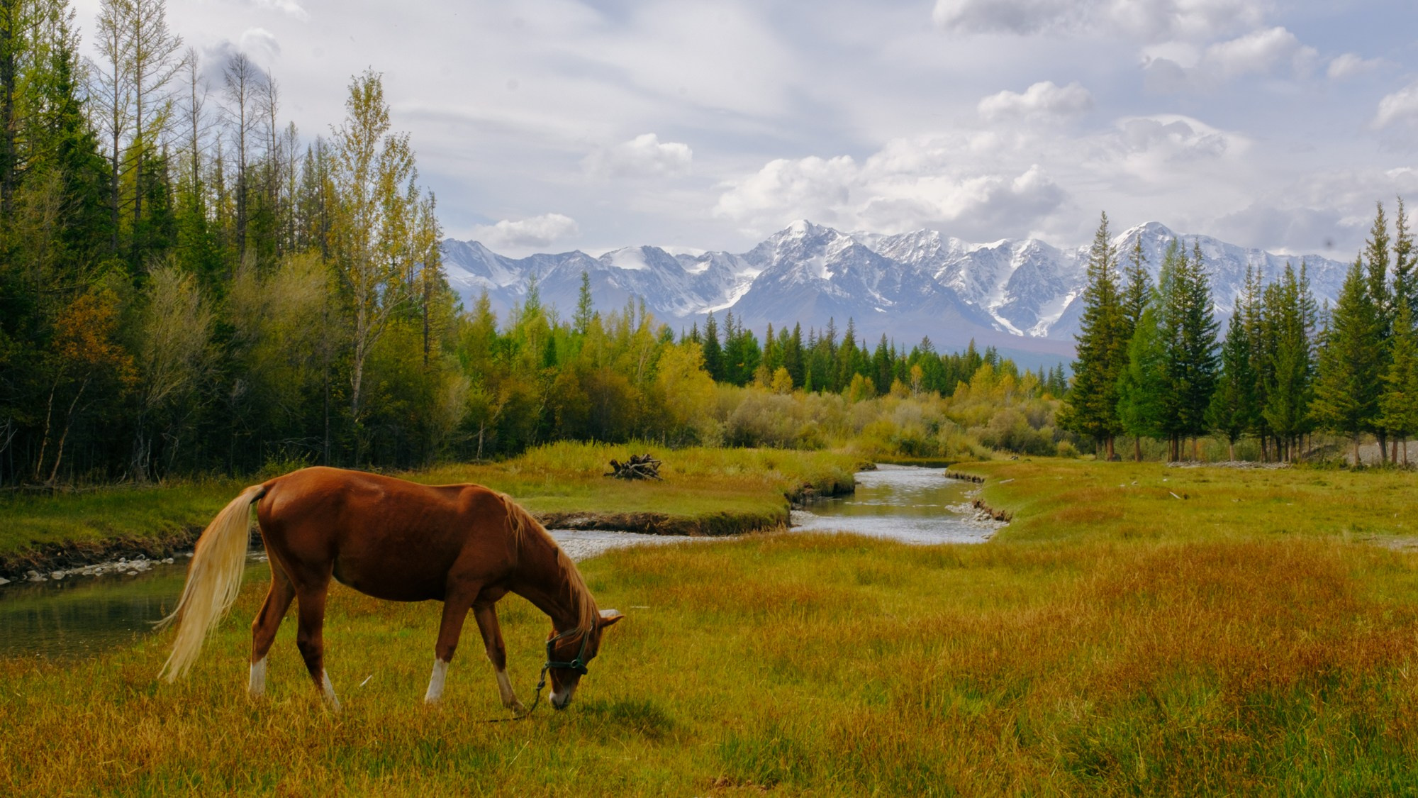 Altai Russia — Solo bike tour along the Chuya Highway. Фотограф Павел Краснов