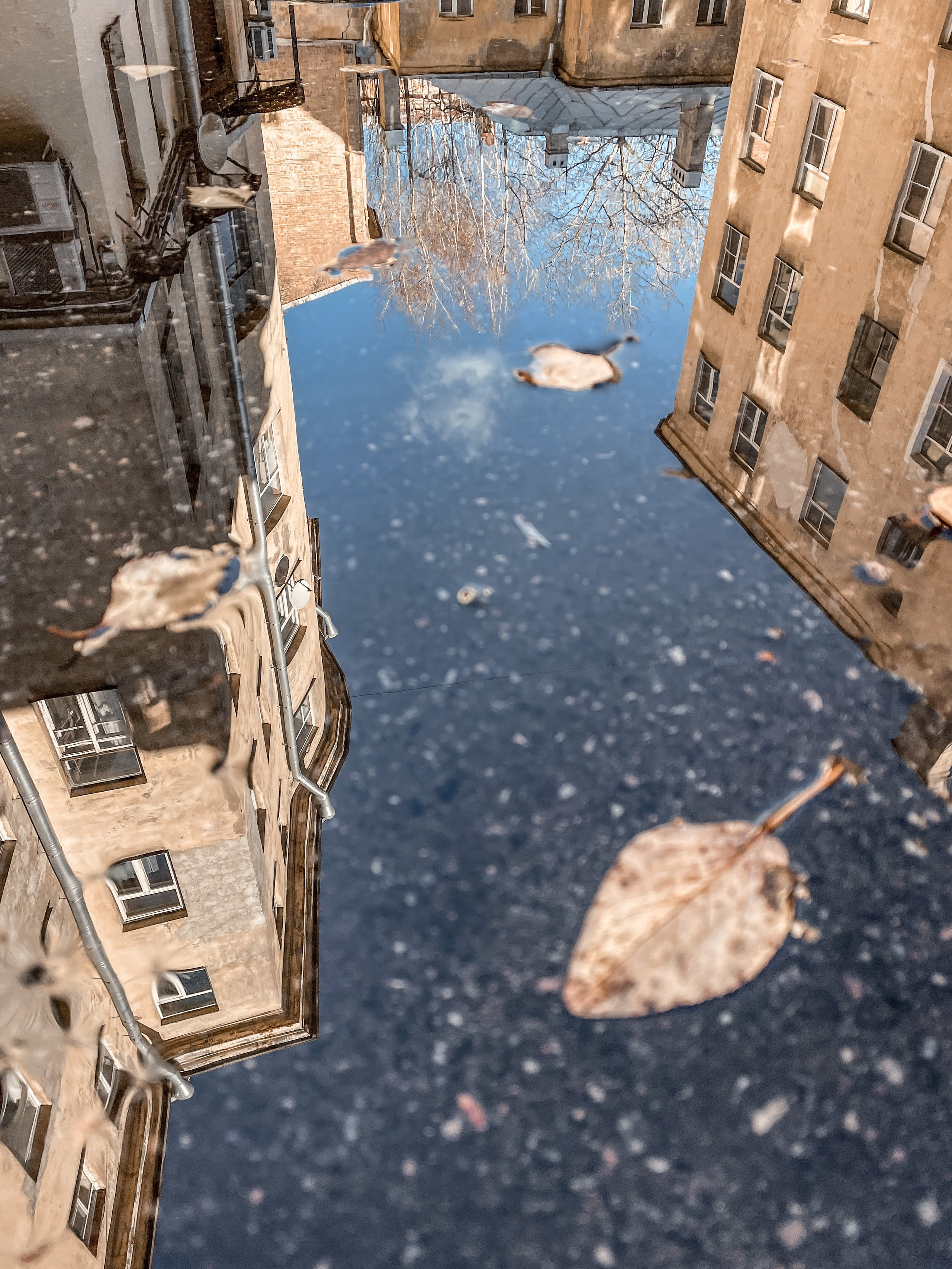 Пейзаж. Фотограф Олеся Шипихина г. Москва
