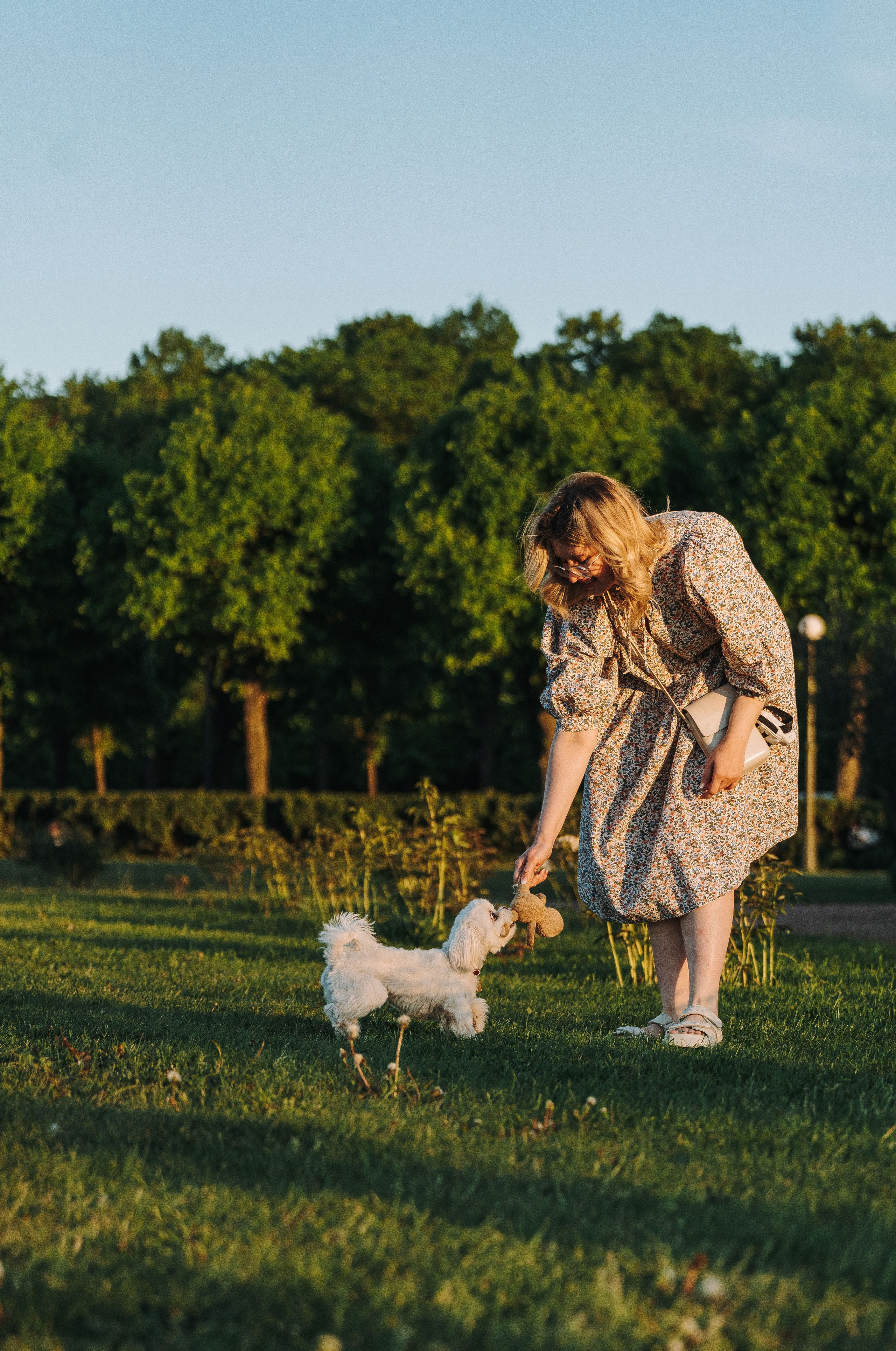 Фотосессия с питомцем в центре Санкт-Петербурга. Фотограф анималист в Спб недорого Олеся Майорова