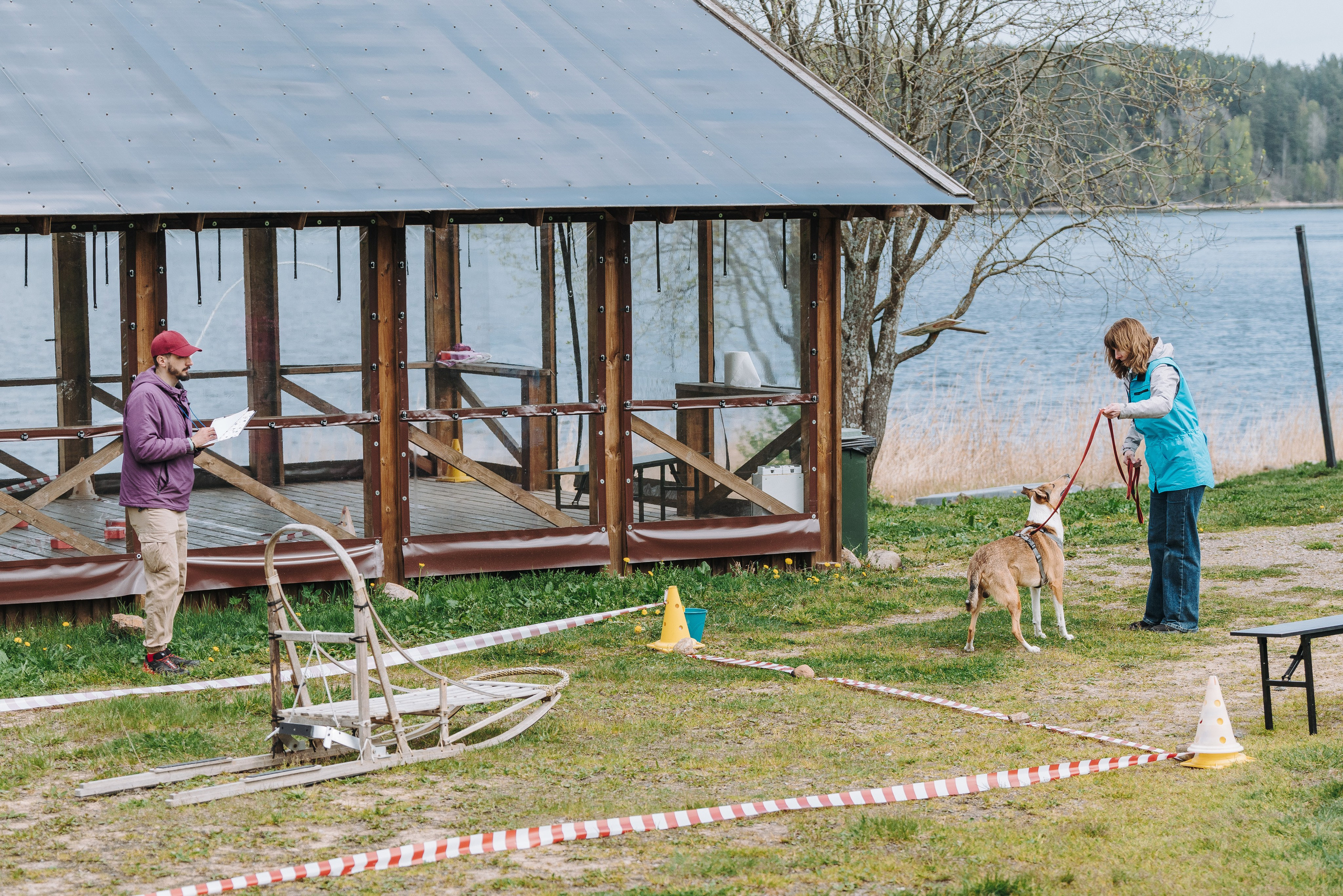 Соревнования по ноузворку в Лосево. Фотограф анималист в Спб недорого Олеся Майорова