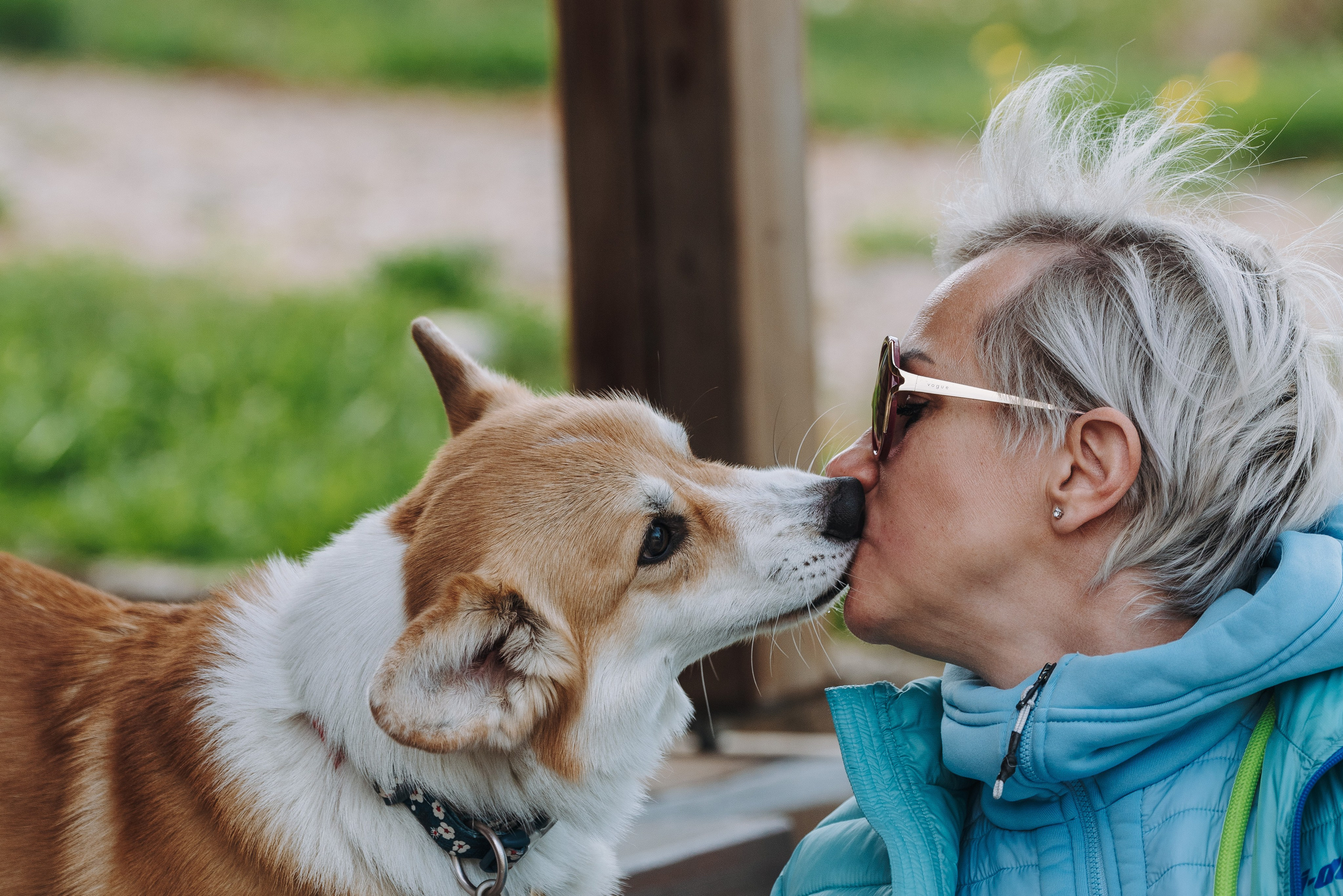 Соревнования по ноузворку в Лосево. Фотограф анималист в Спб недорого Олеся Майорова
