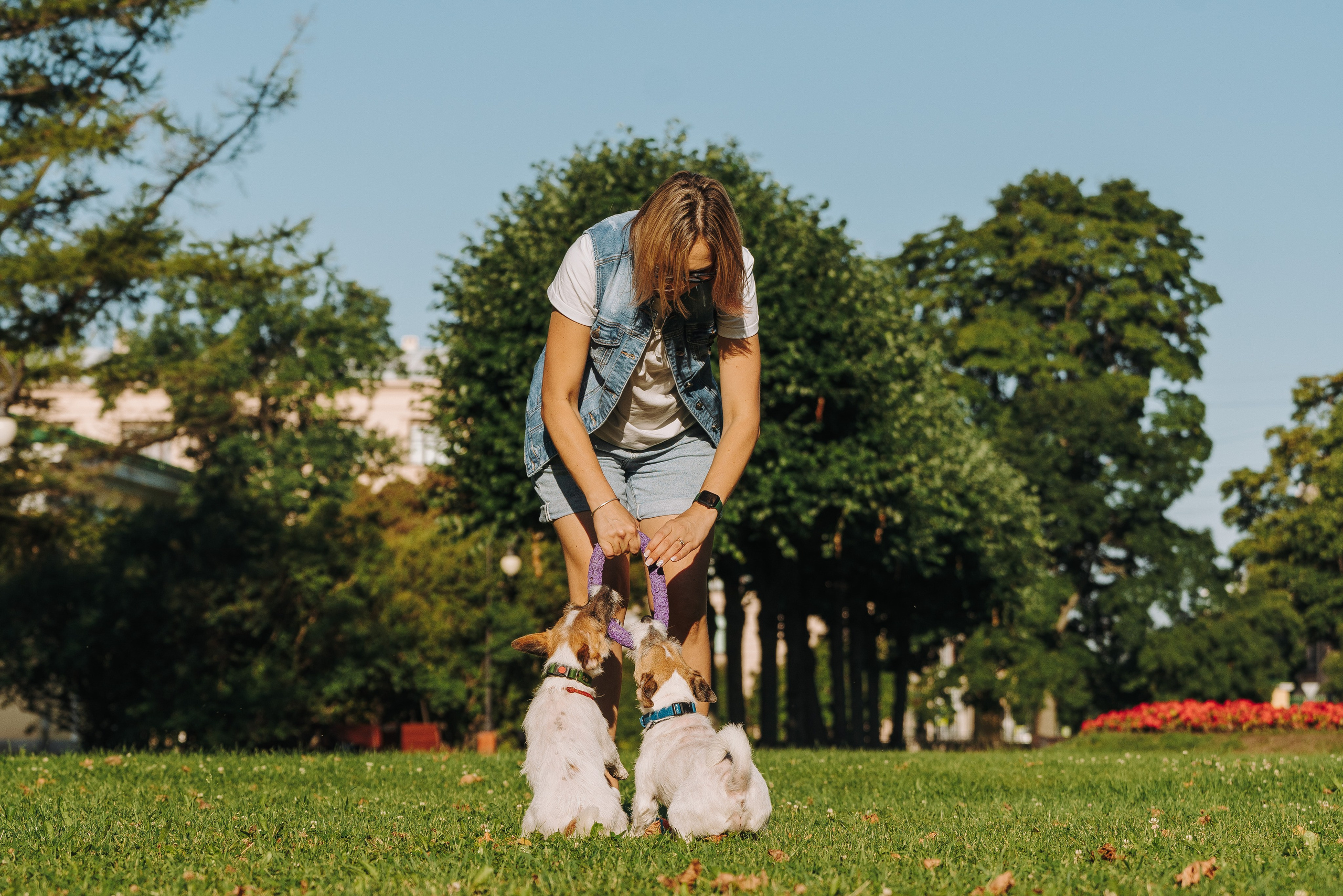 Ларс, Лукас и Ольга. Фотограф анималист в Спб недорого Олеся Майорова