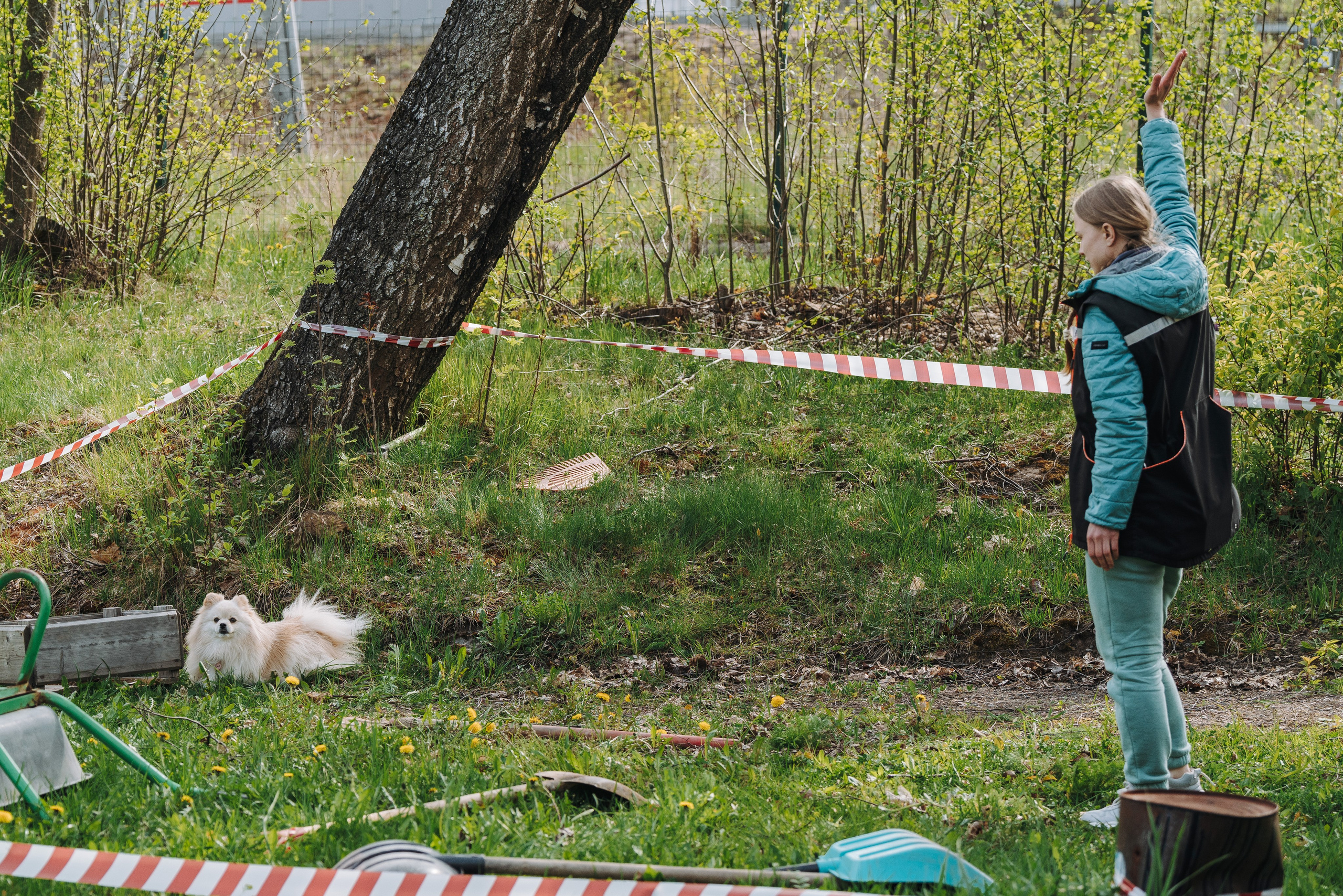 Соревнования по ноузворку в Лосево. Фотограф анималист в Спб недорого Олеся Майорова