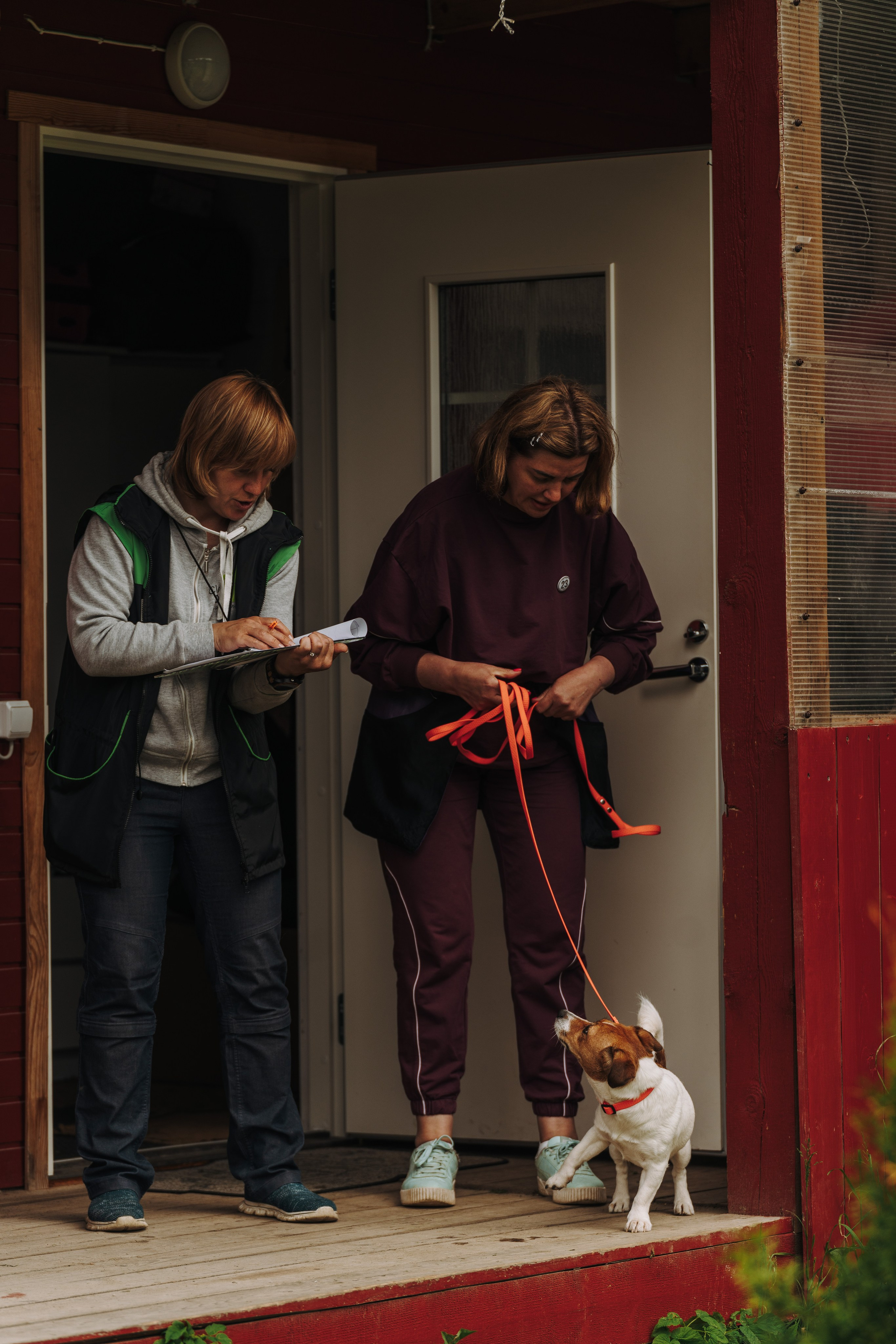 Соревнования по ноузворку. Фотограф анималист в Спб недорого Олеся Майорова