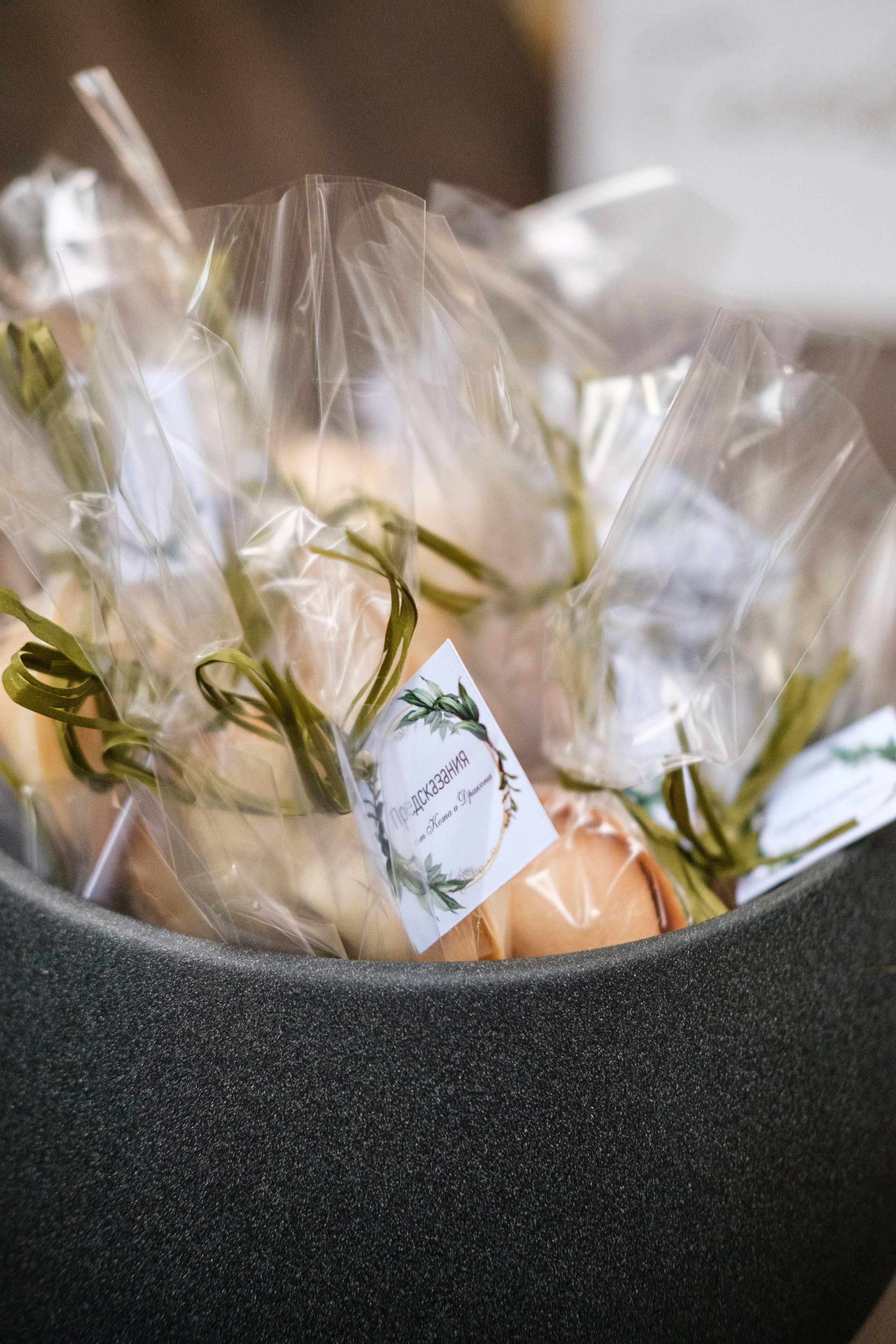 Кот и Дракон. Свадебный Видеограф Фотограф в Сочи