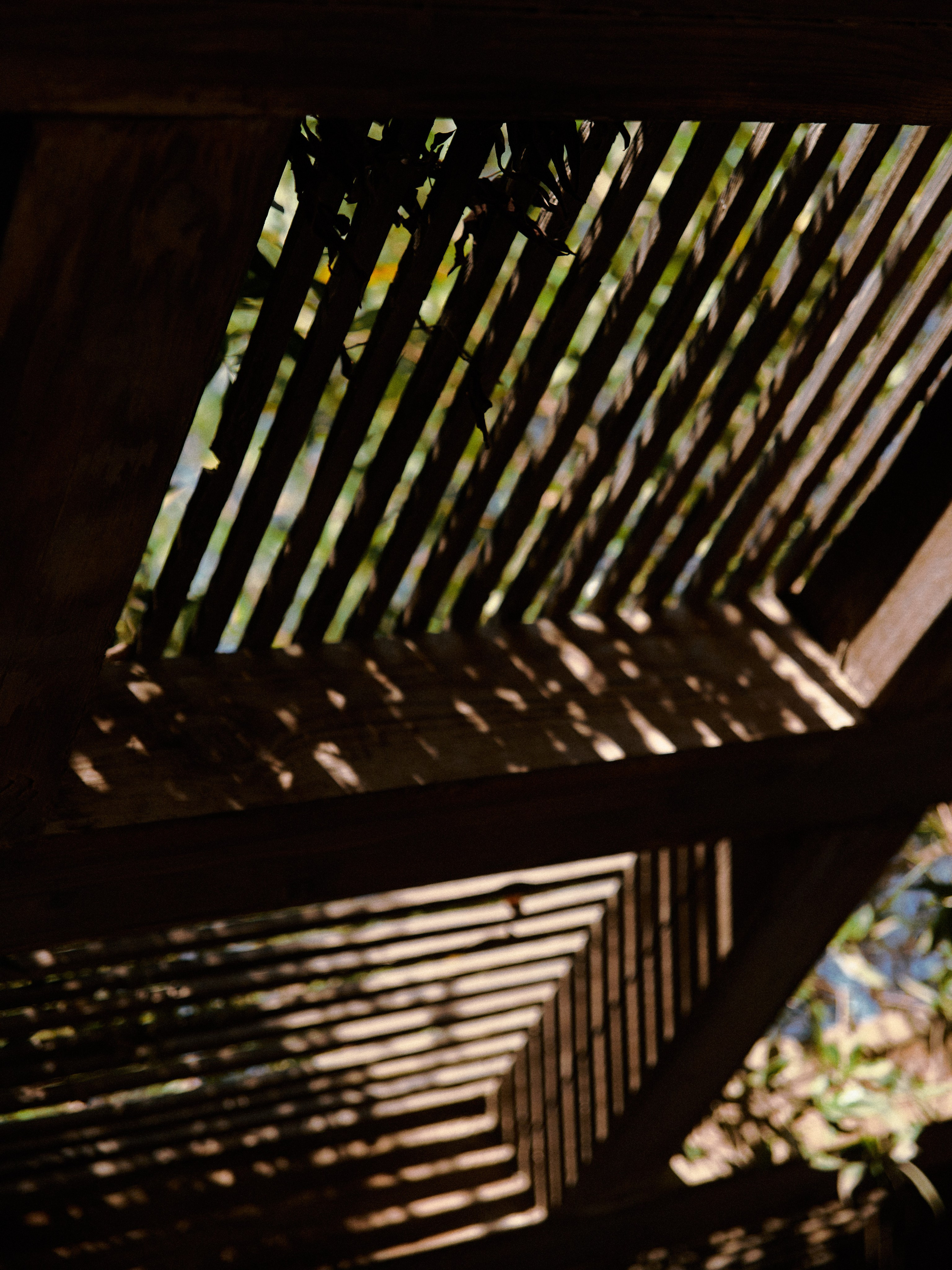 Диптих. Jorgis — фотограф в Хургаде / обучение фотографии