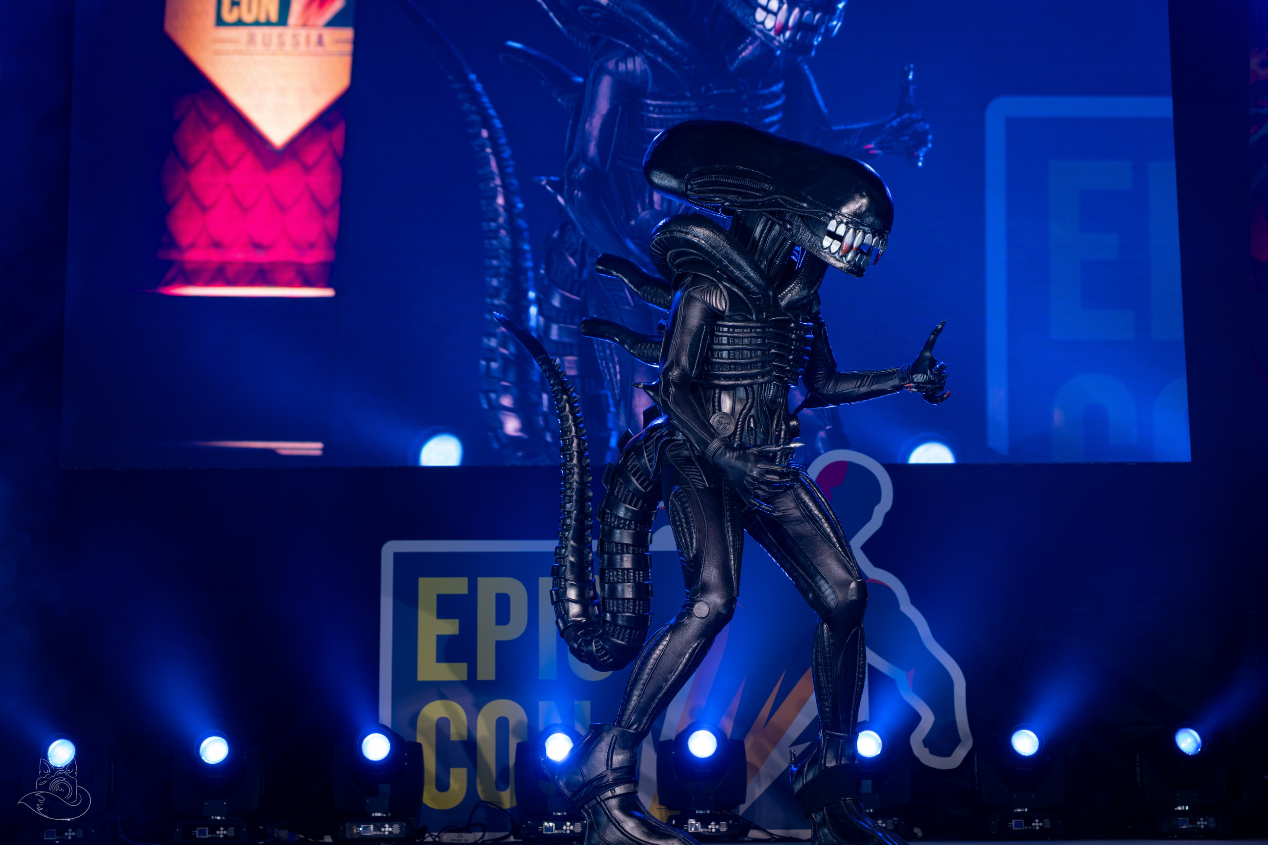 Конкурс Эпик Кон 2026 | Севкабель порт. Cosplay Fotograf