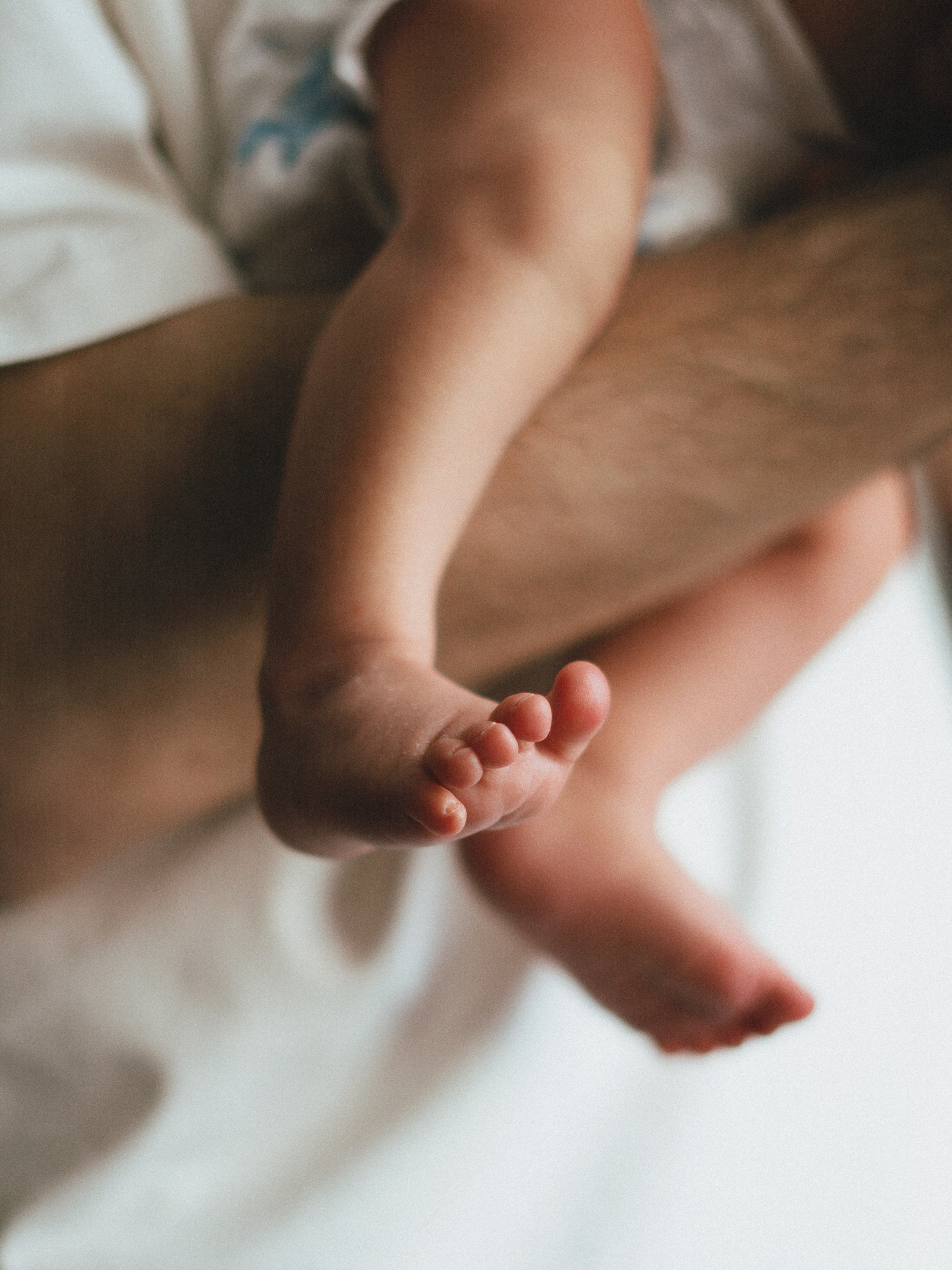 Мироша. SHILOVA PHOTO. Шилова Екатерина. Фотограф. Москва