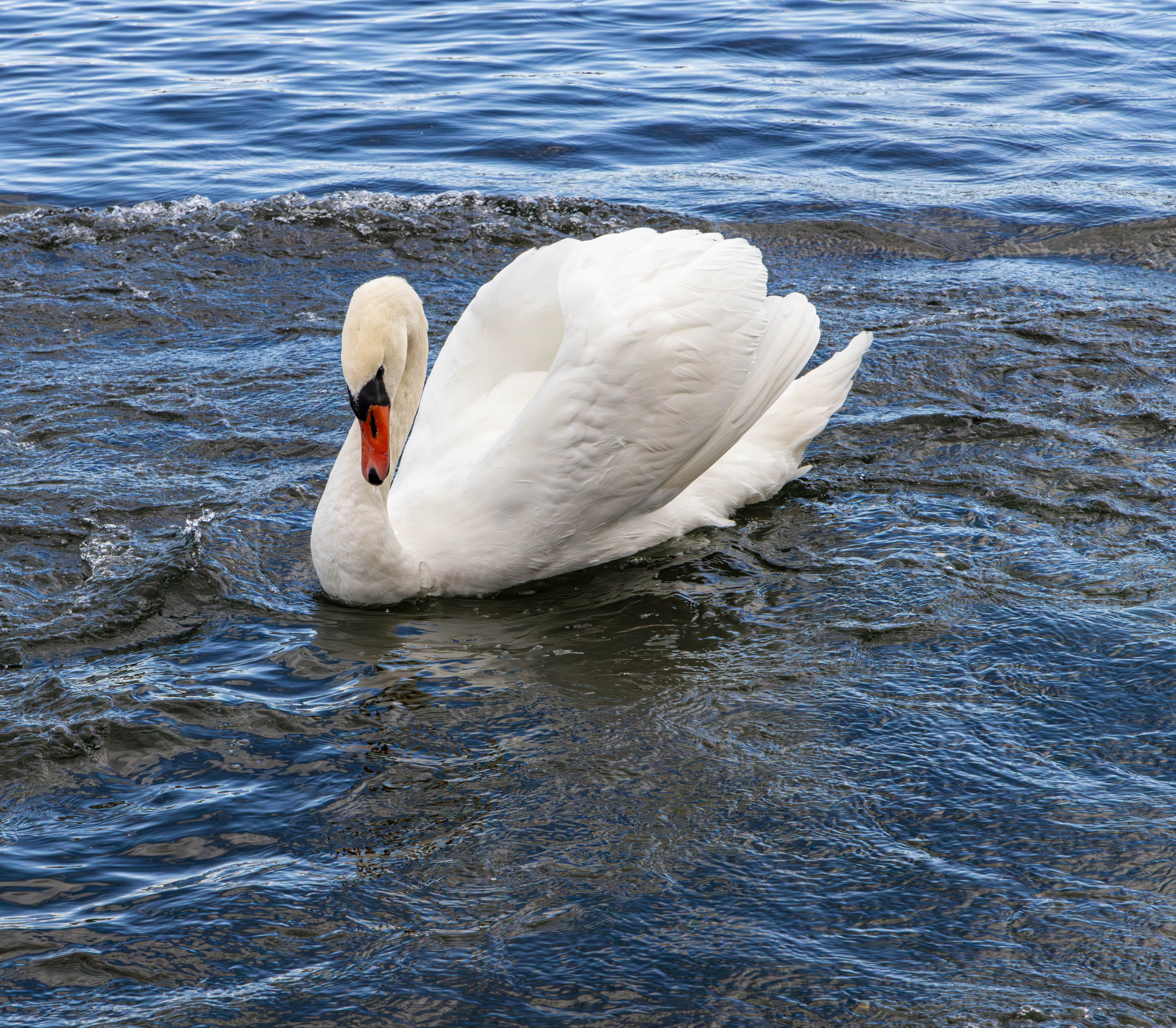 Архитектура и пейзажи. Главная