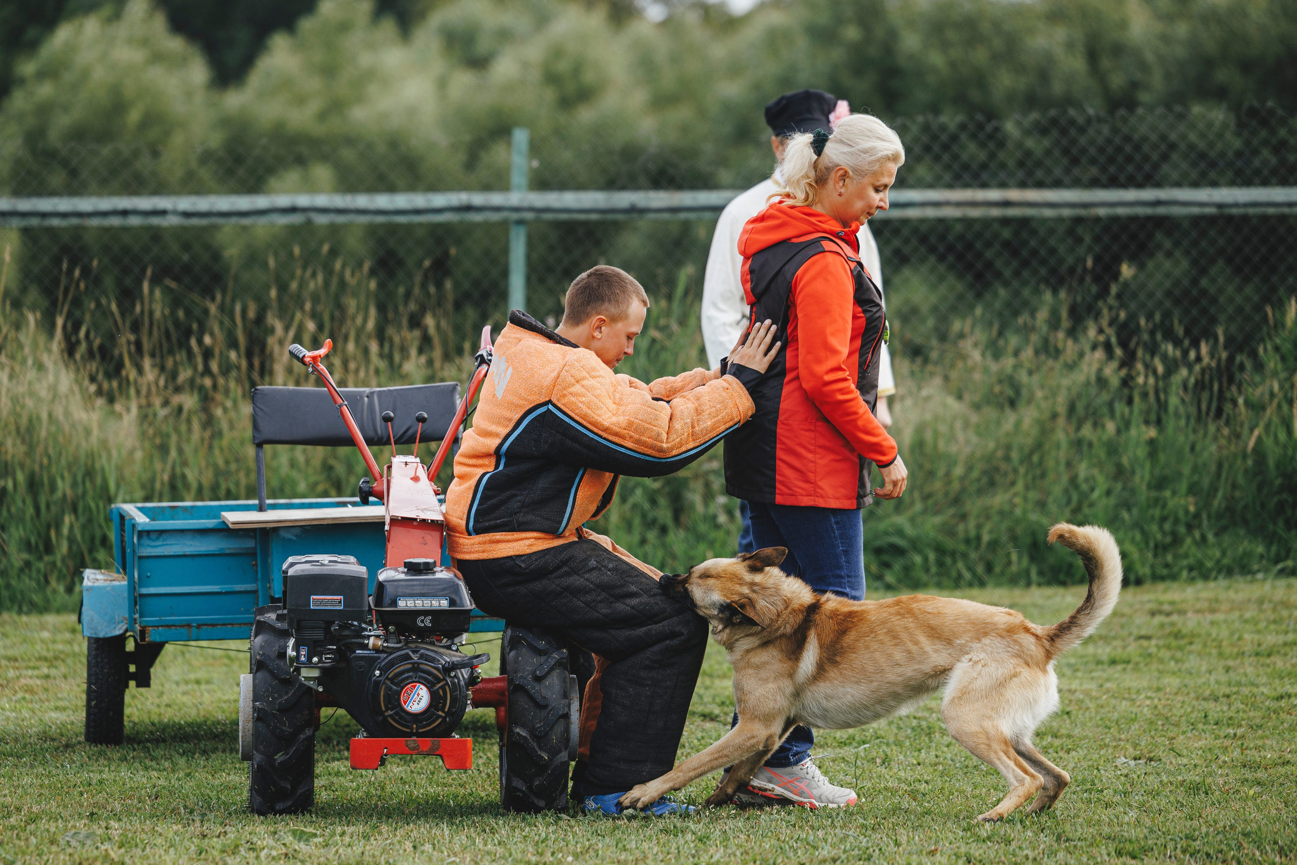 08.08.25-10.08.25 ЧР по мондьорингу г. Вологда. Фотограф-анималист Анна Маринич