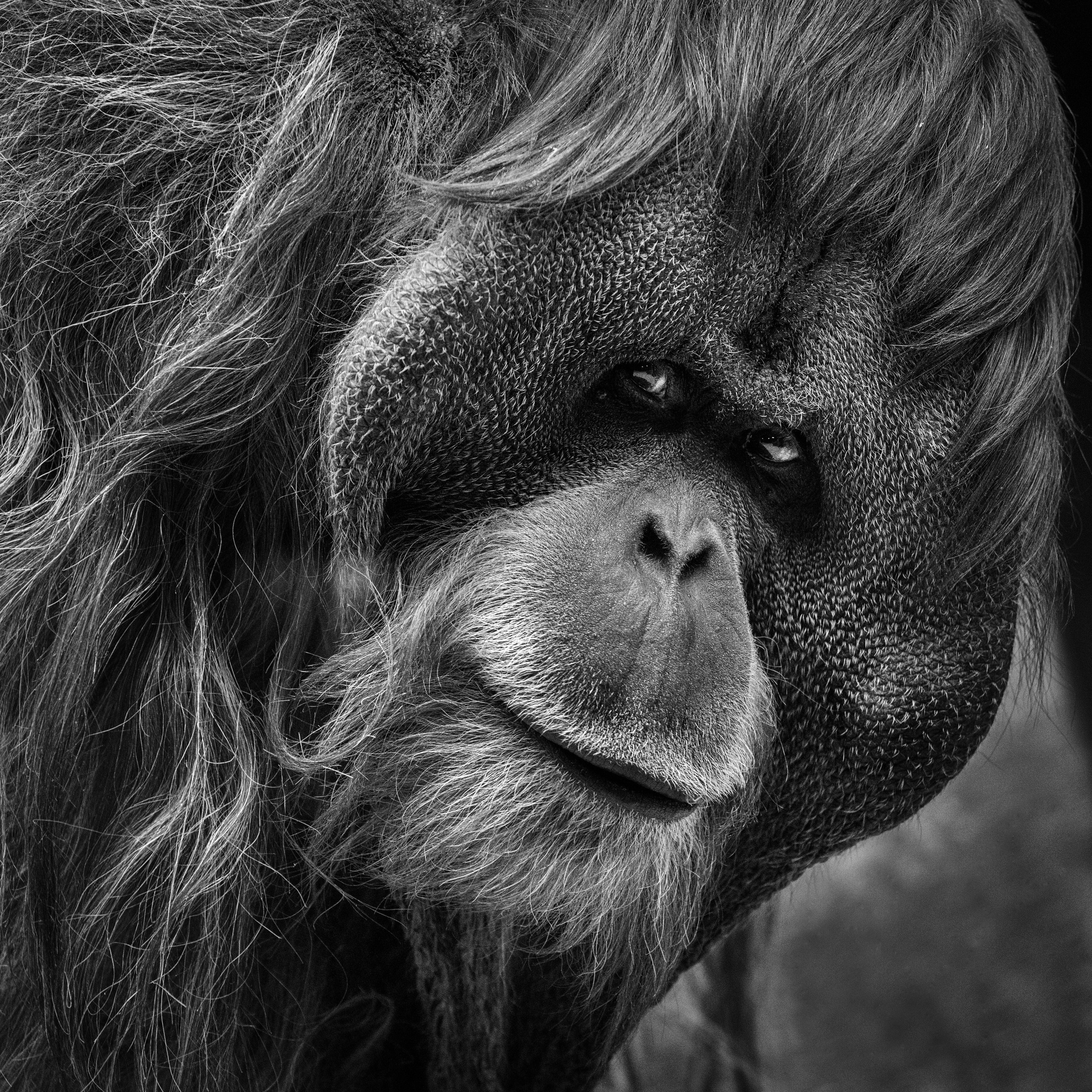 ЗООПАРК. Фотограф Владимир Остапенко