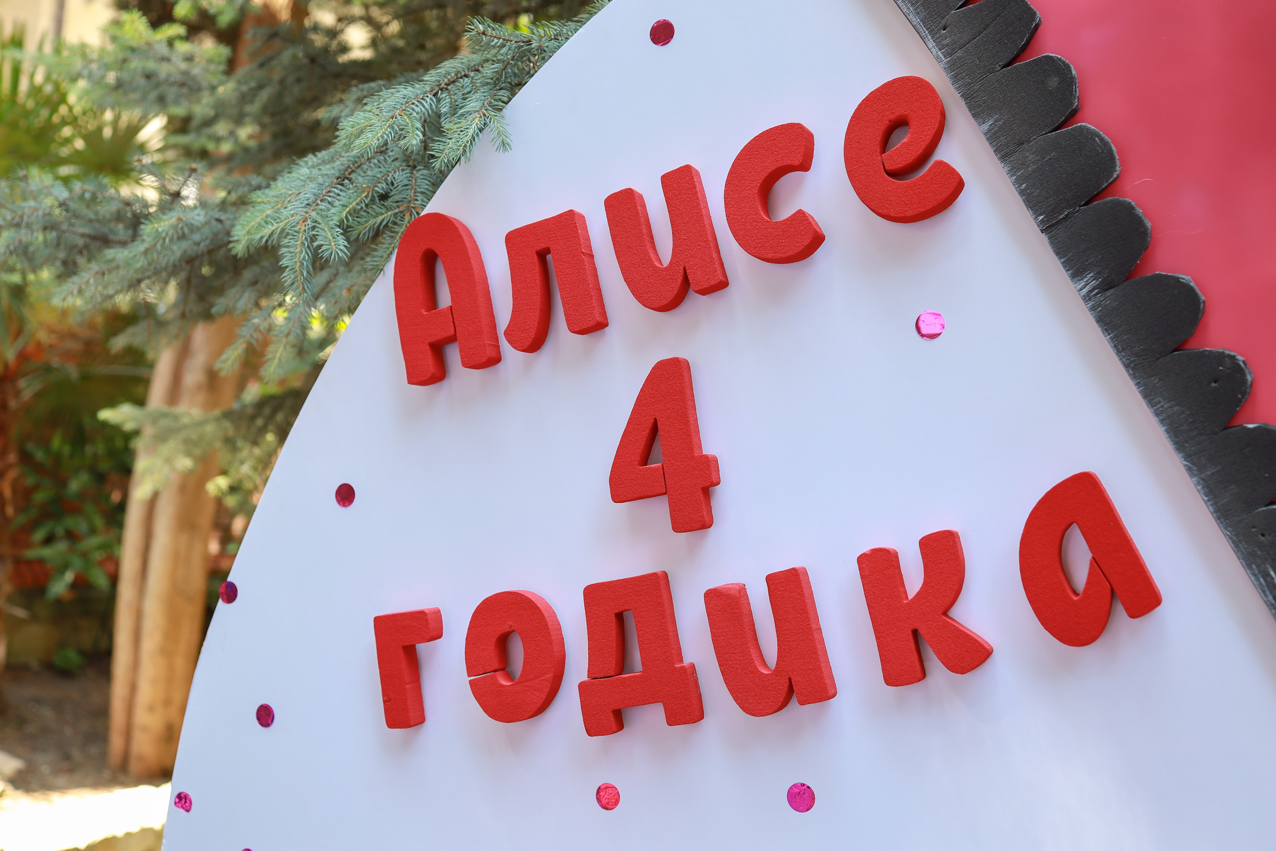 Дни рождения и корпоративы. Свадебный фотограф в Крыму