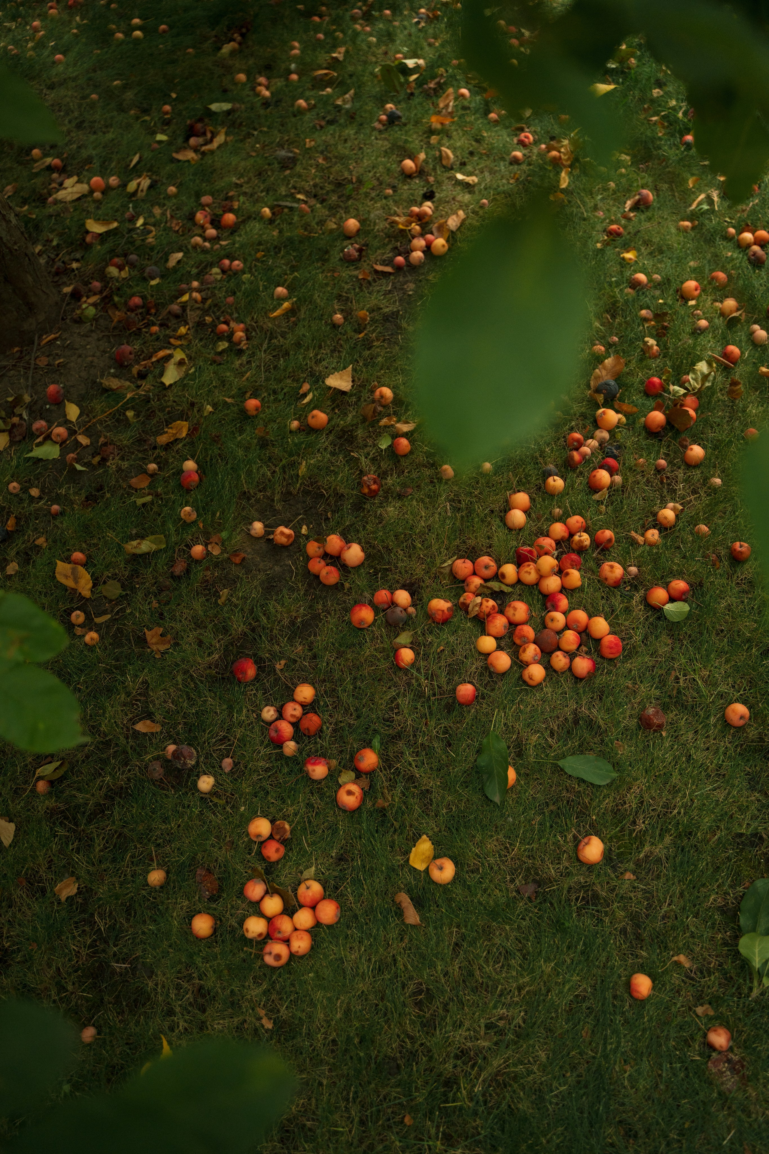 Динамо. Фотограф Мария Зайчик