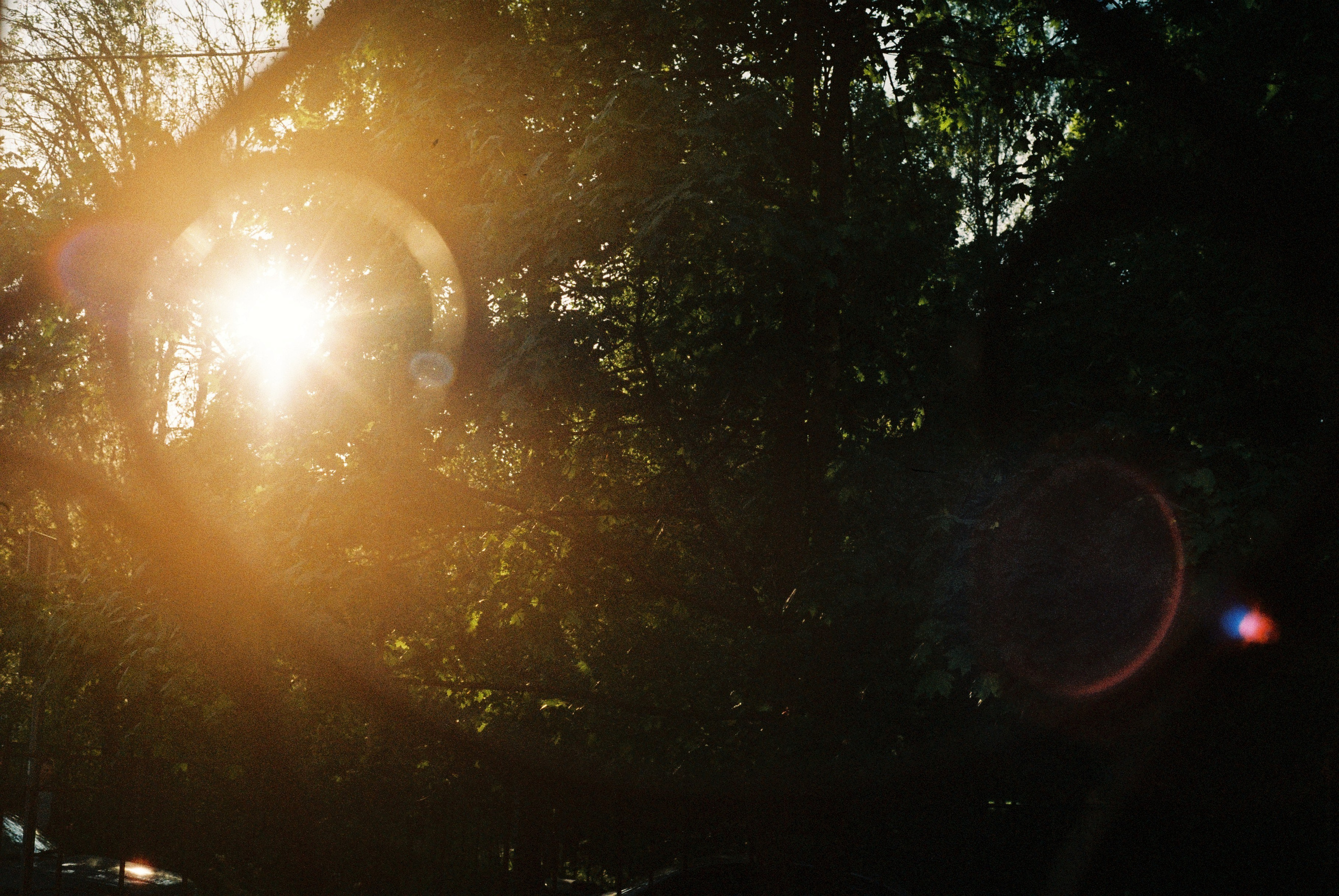 Film. Ruslan UI Dev Page