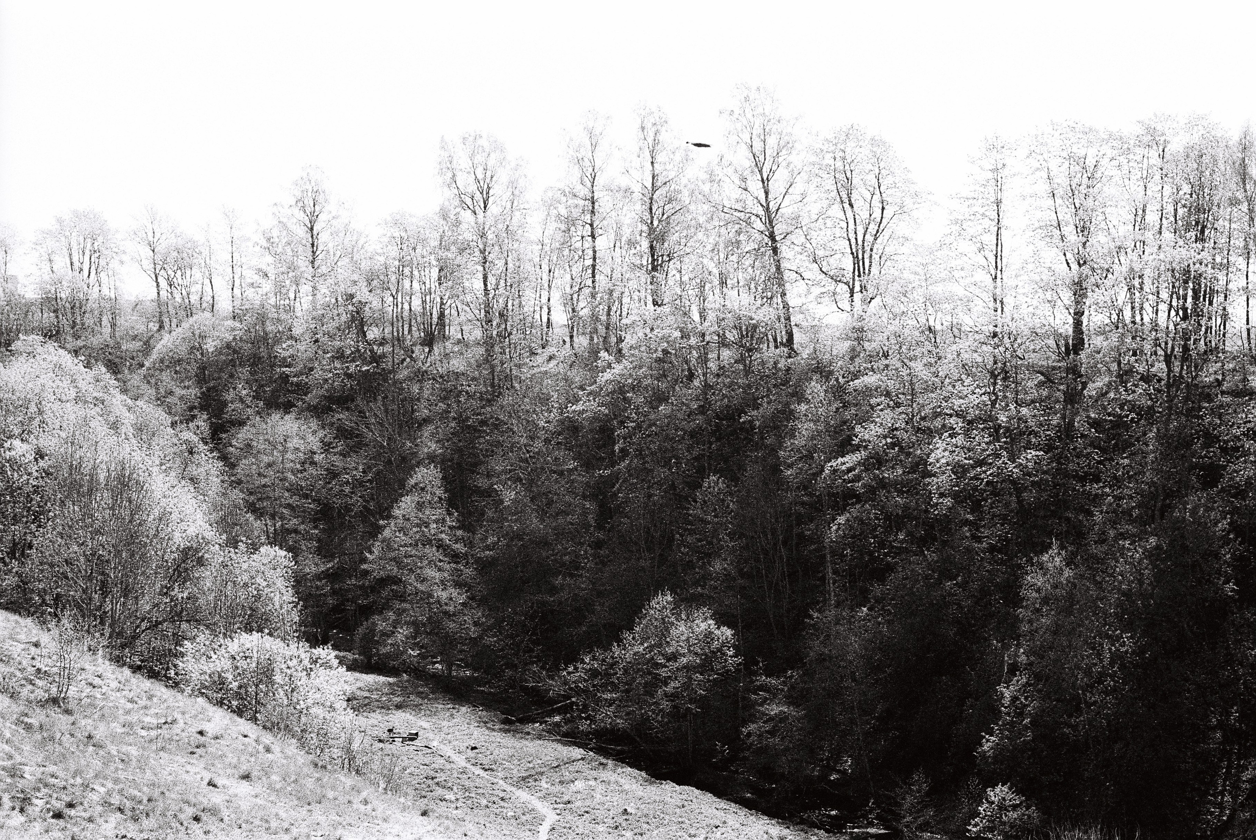 Film. Ruslan UI Dev Page