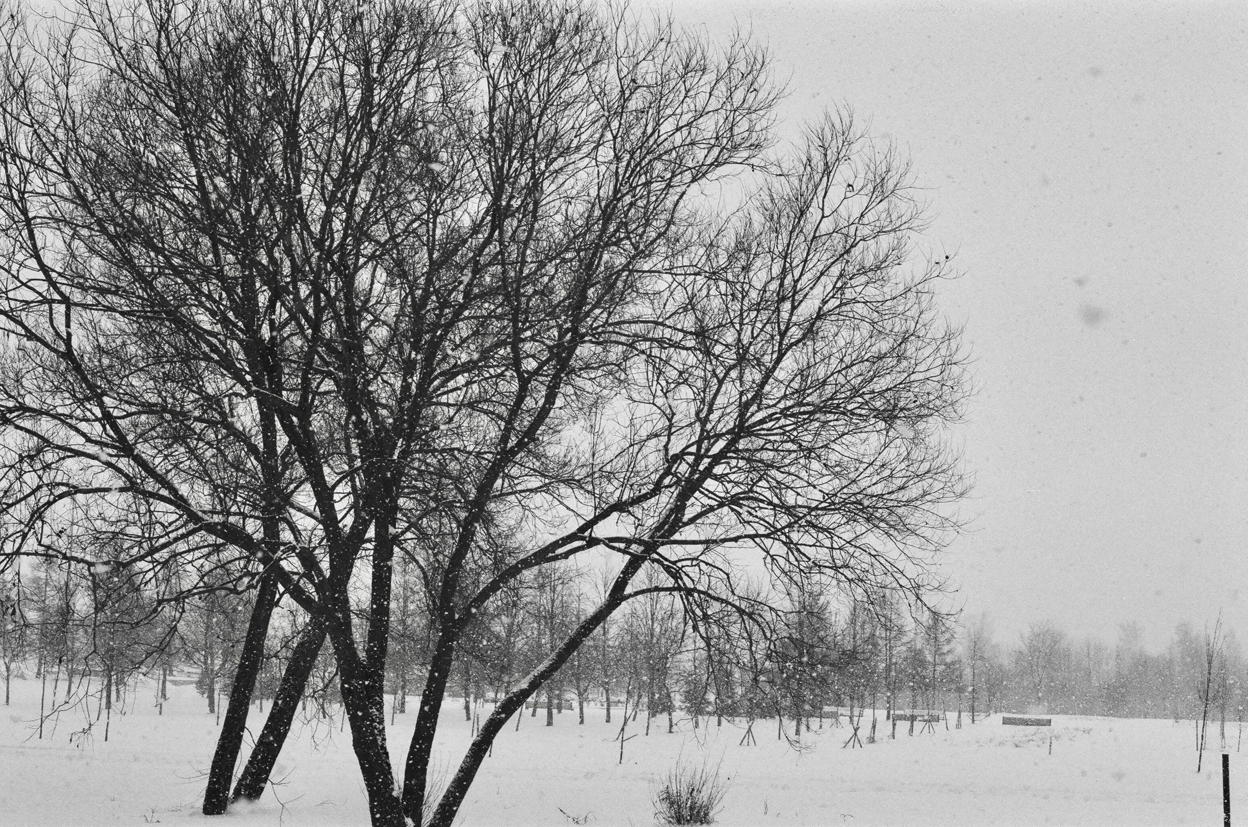 Film. Ruslan UI Dev Page