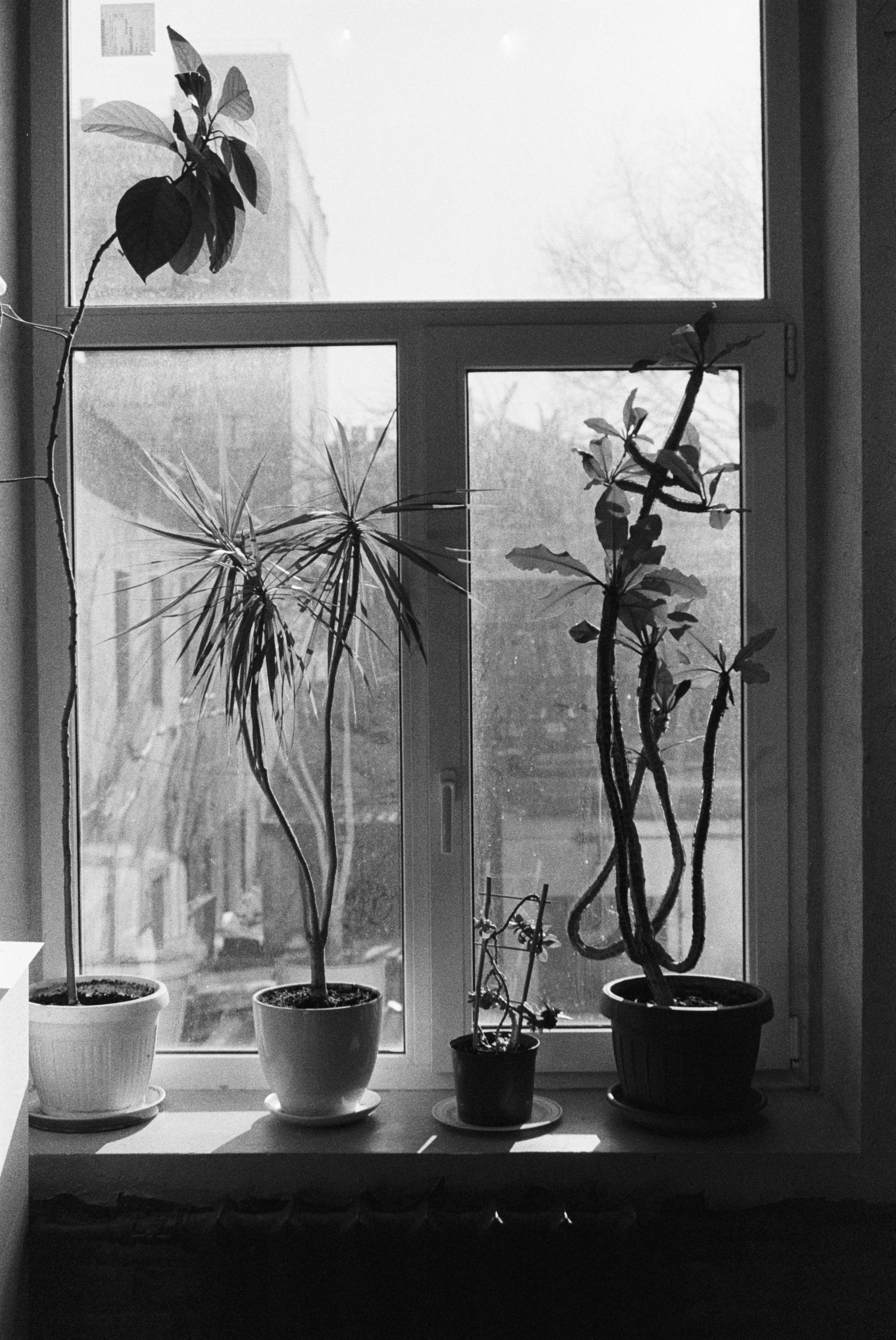 Путешествия. Anastasiia Kron