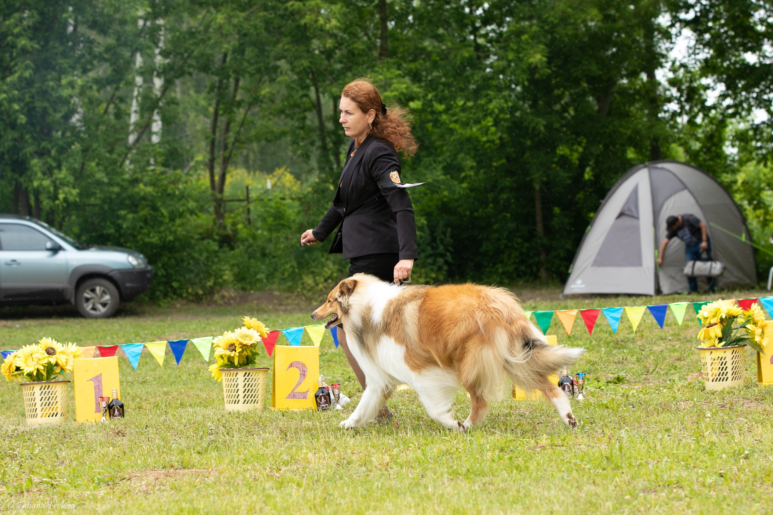 Фотосопровождение выставки собак в Московской области и Москве. Фотограф-анималист в Москве и Московской области Татьяна Фролова