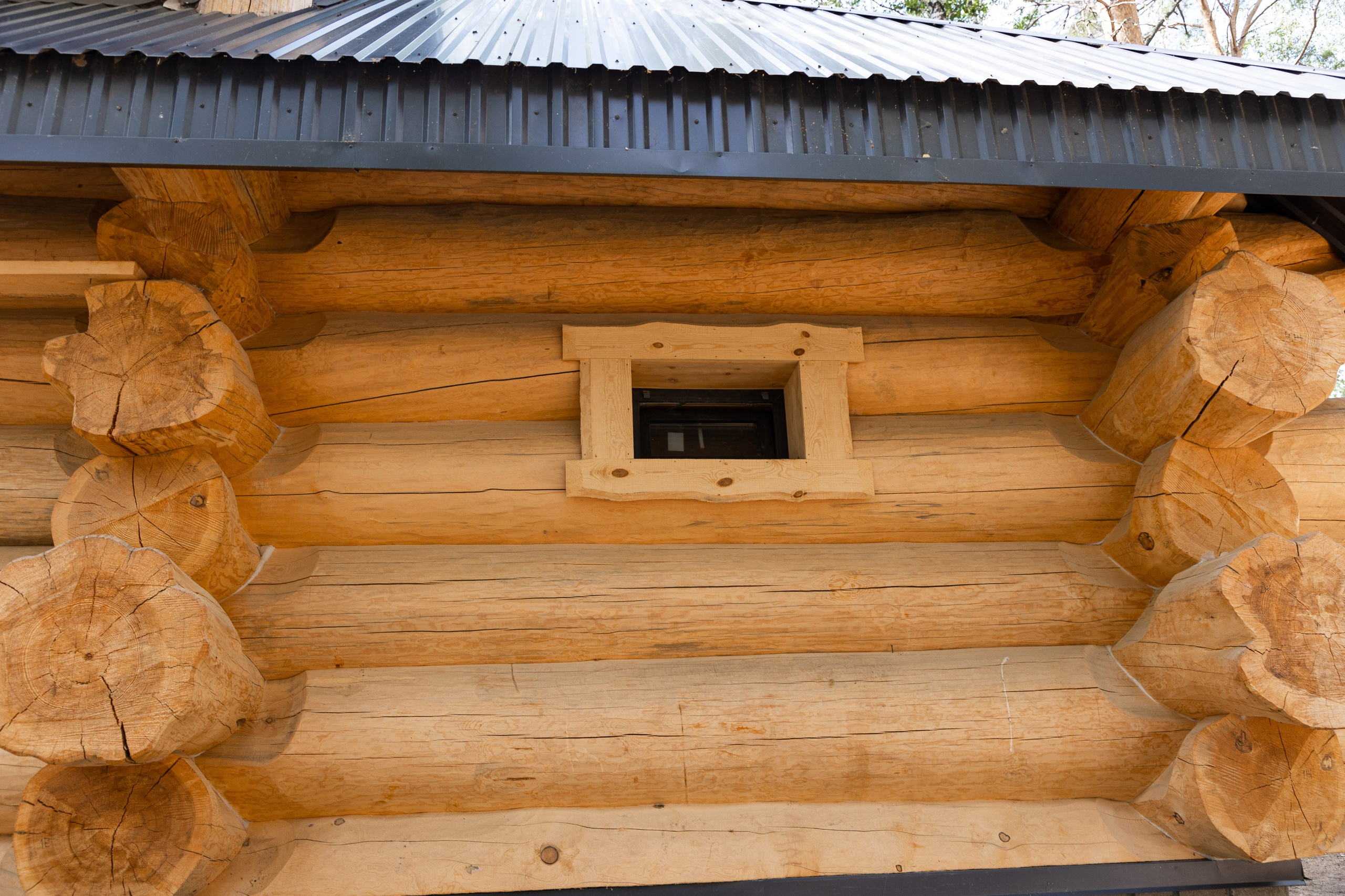 Камнево. Фотограф Денис Лесковский (Тюмень)