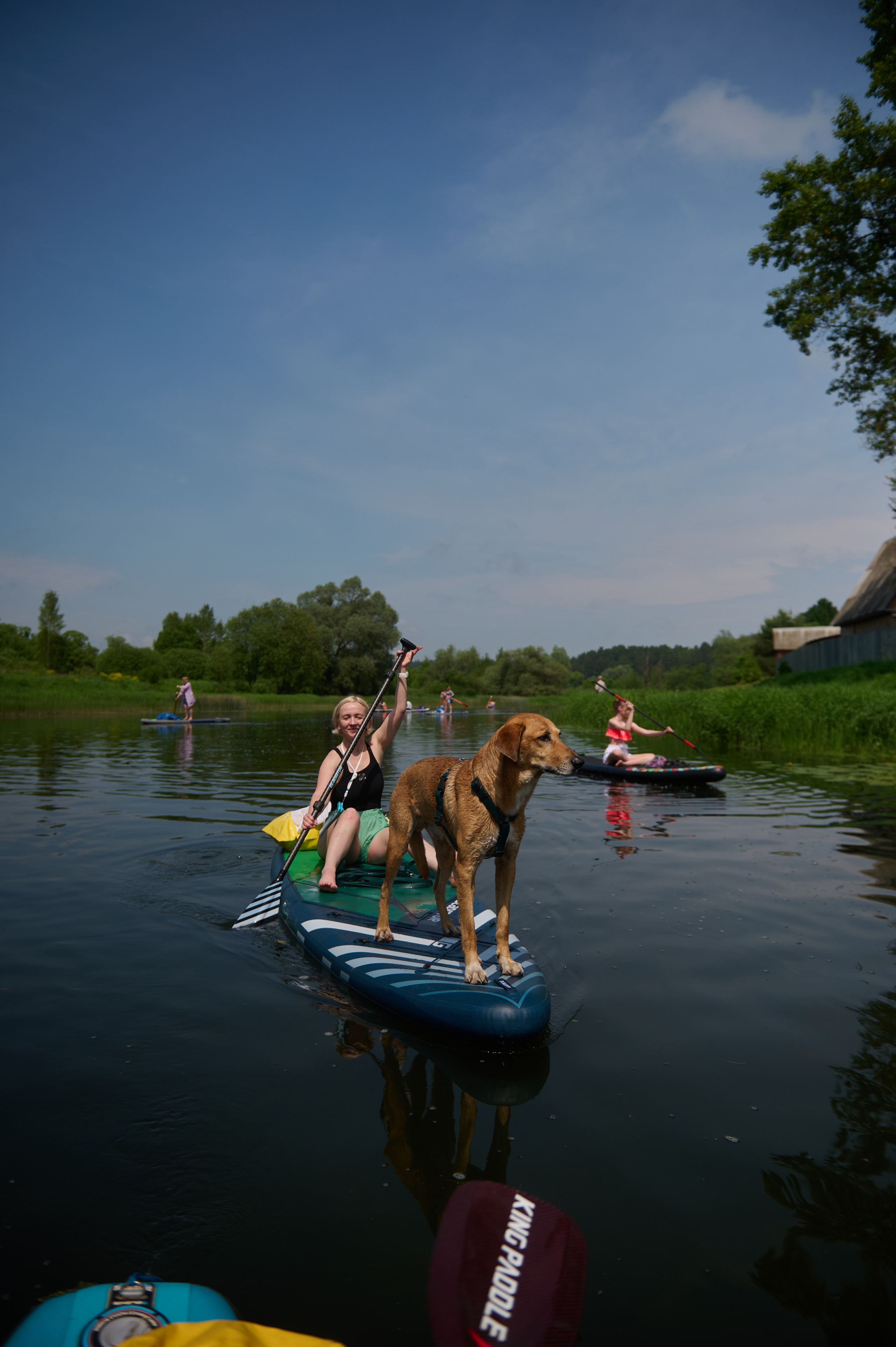 Июнь р. Протва. Главная