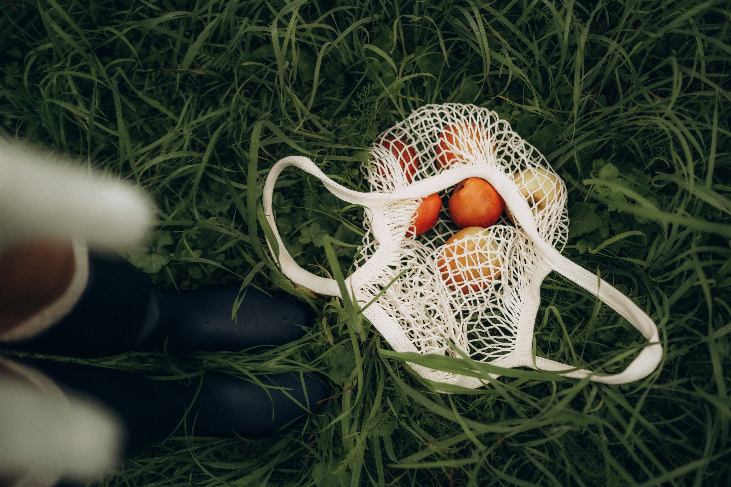 На рассвете. Фотограф в Москве Ольга Елоева