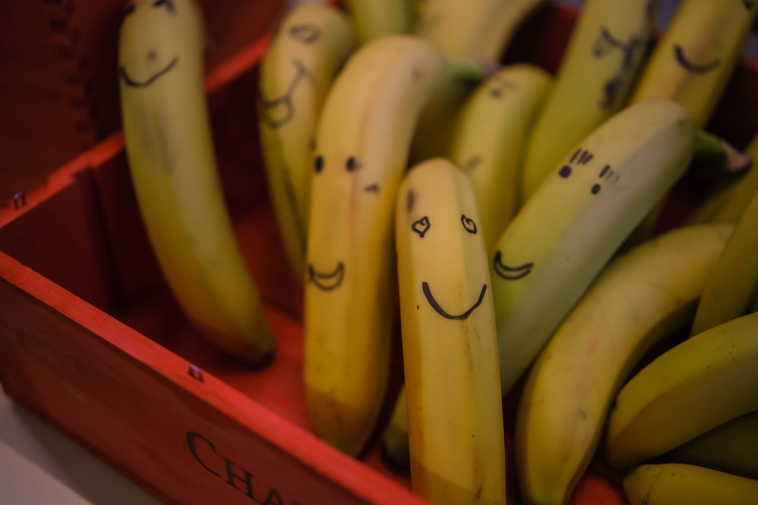 Девичник «Бегущая Невеста». Портретные и творческие съемки Санкт-Петребург